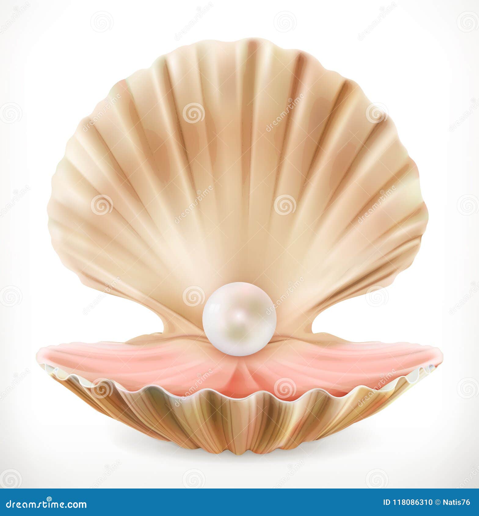 shell with pearl. clam, oyster 3d  icon