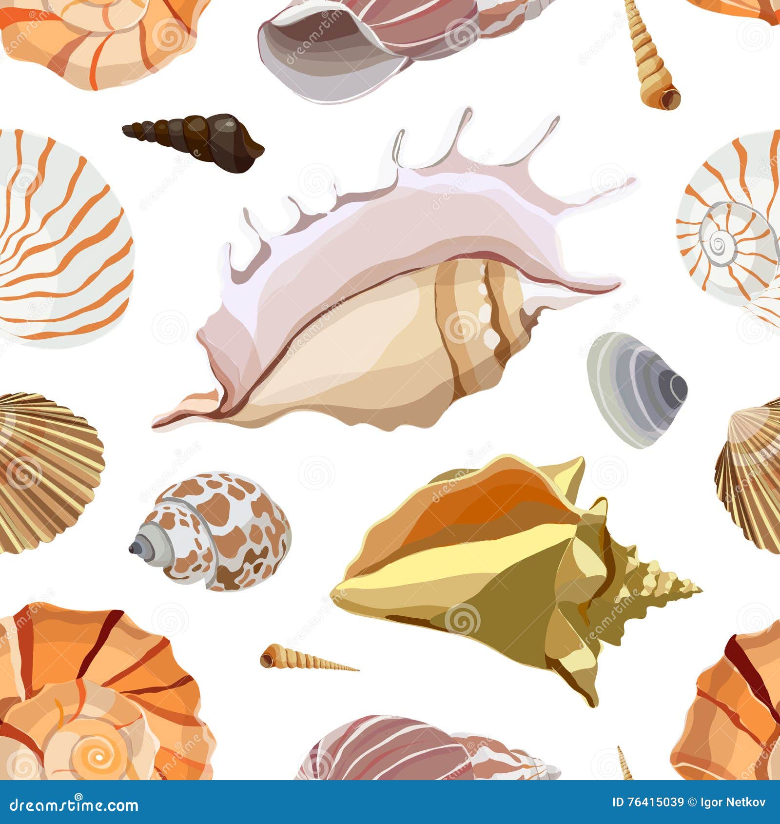 Shell set. Морская раковина вектор. Морские ракушки живопись. Красивые ракушки для рисования. Ракушка вектор.
