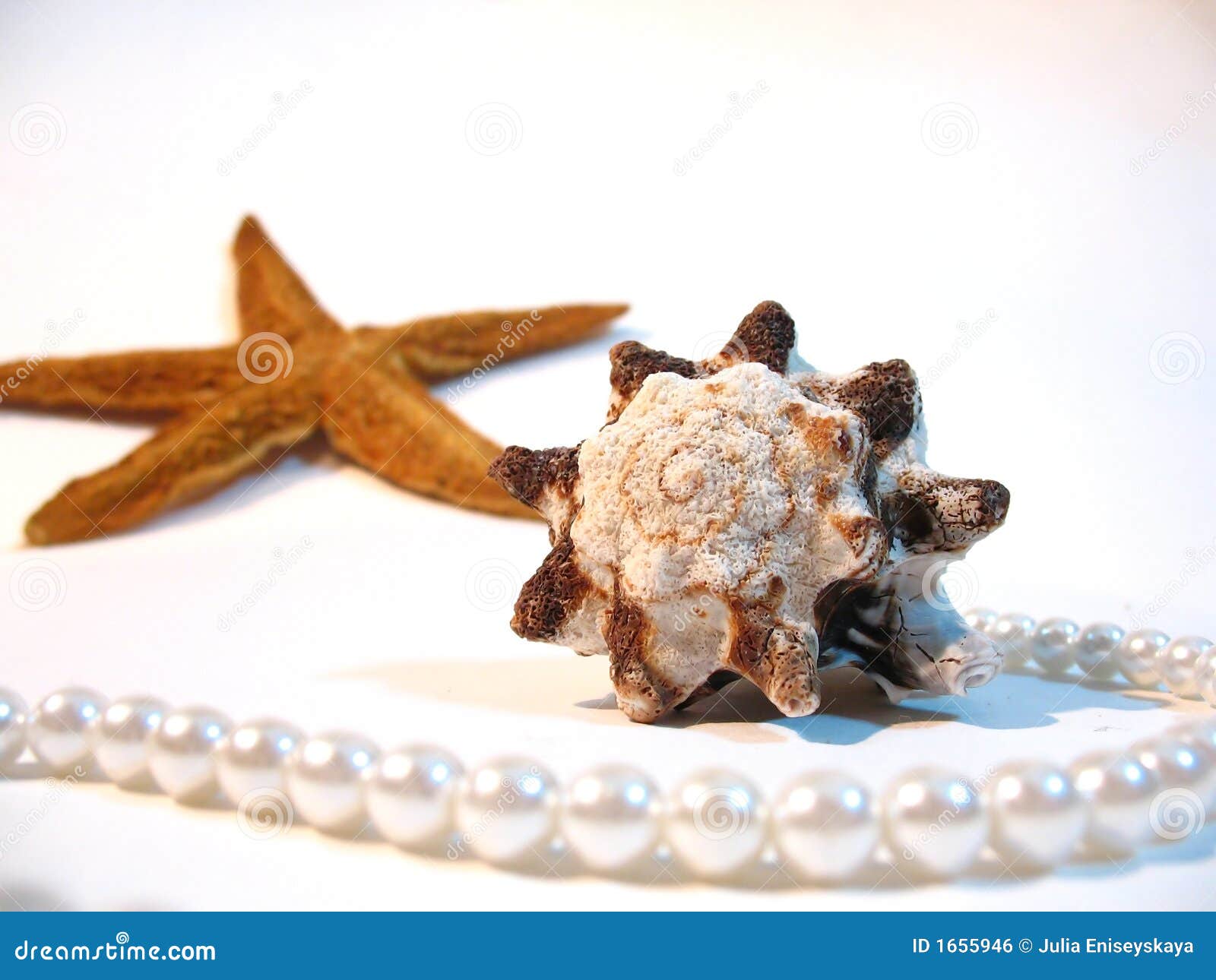 Shell, star, pearls stock photo. Image of life, arrangement 1655946