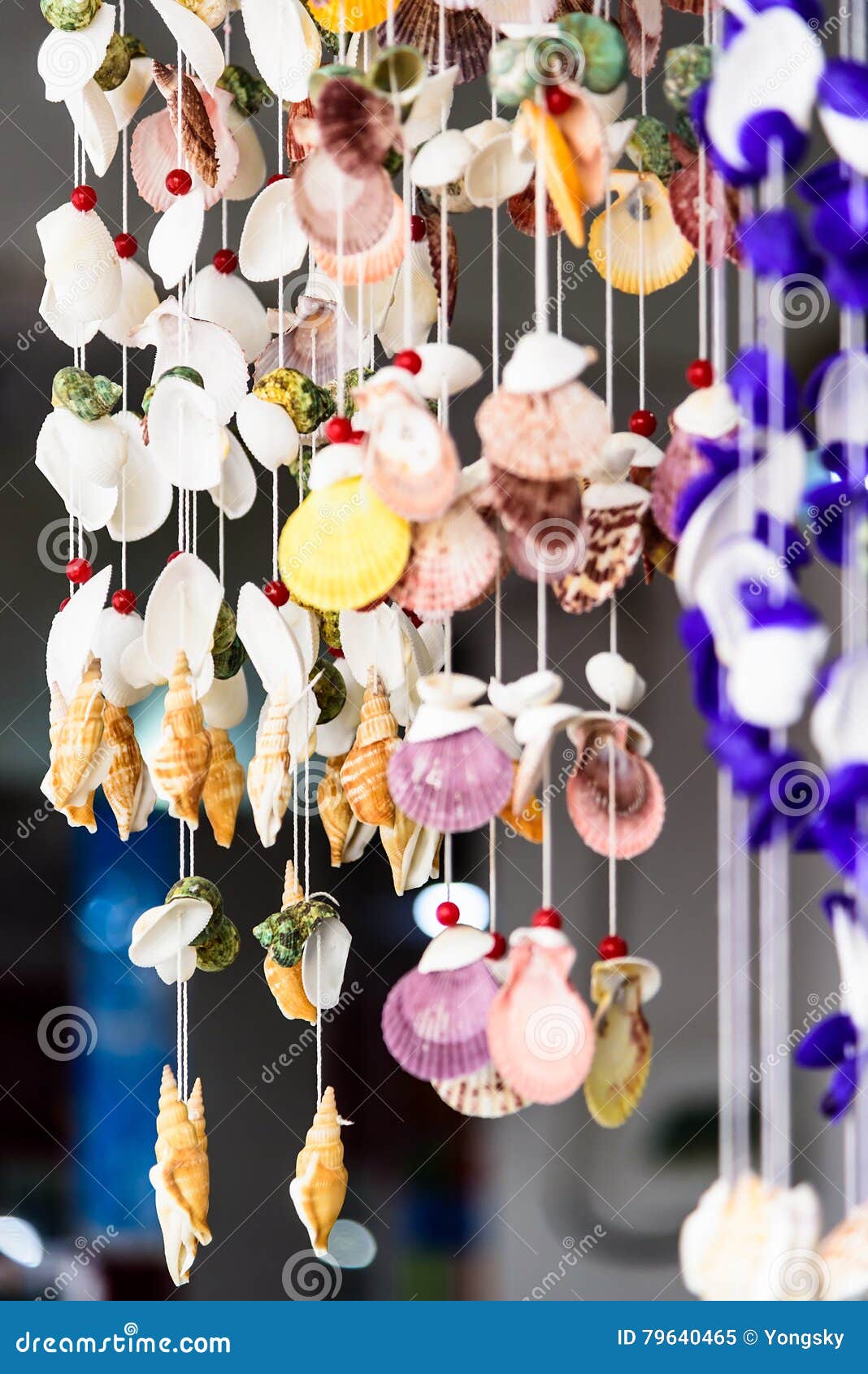 shell windbell