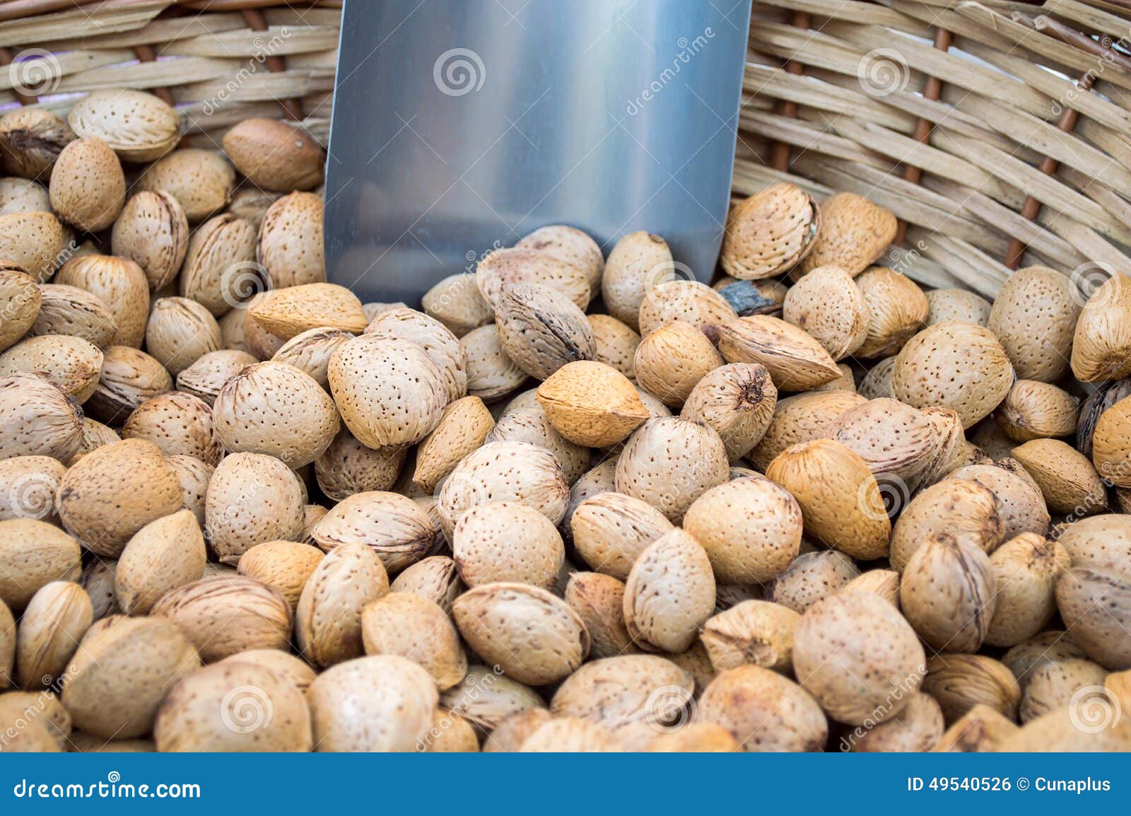 Shelled almonds stock photo. Image of market, diet, objects 49540526