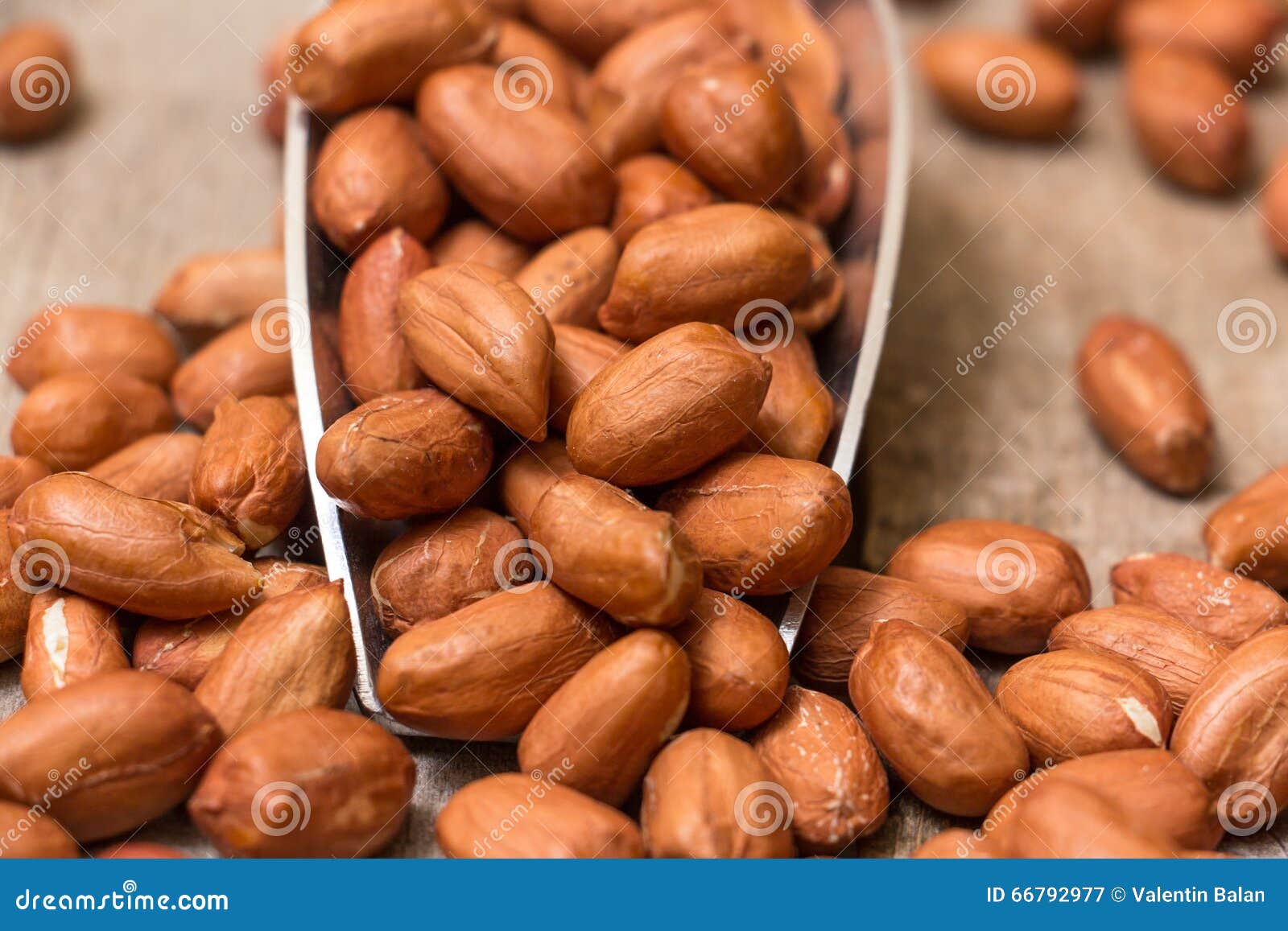 Shelled peanuts stock image. Image of flat, nutritional 66792977
