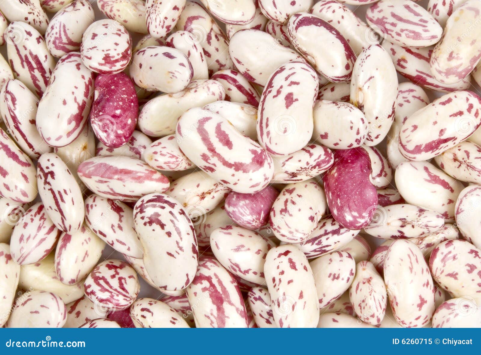 shelled romano beans