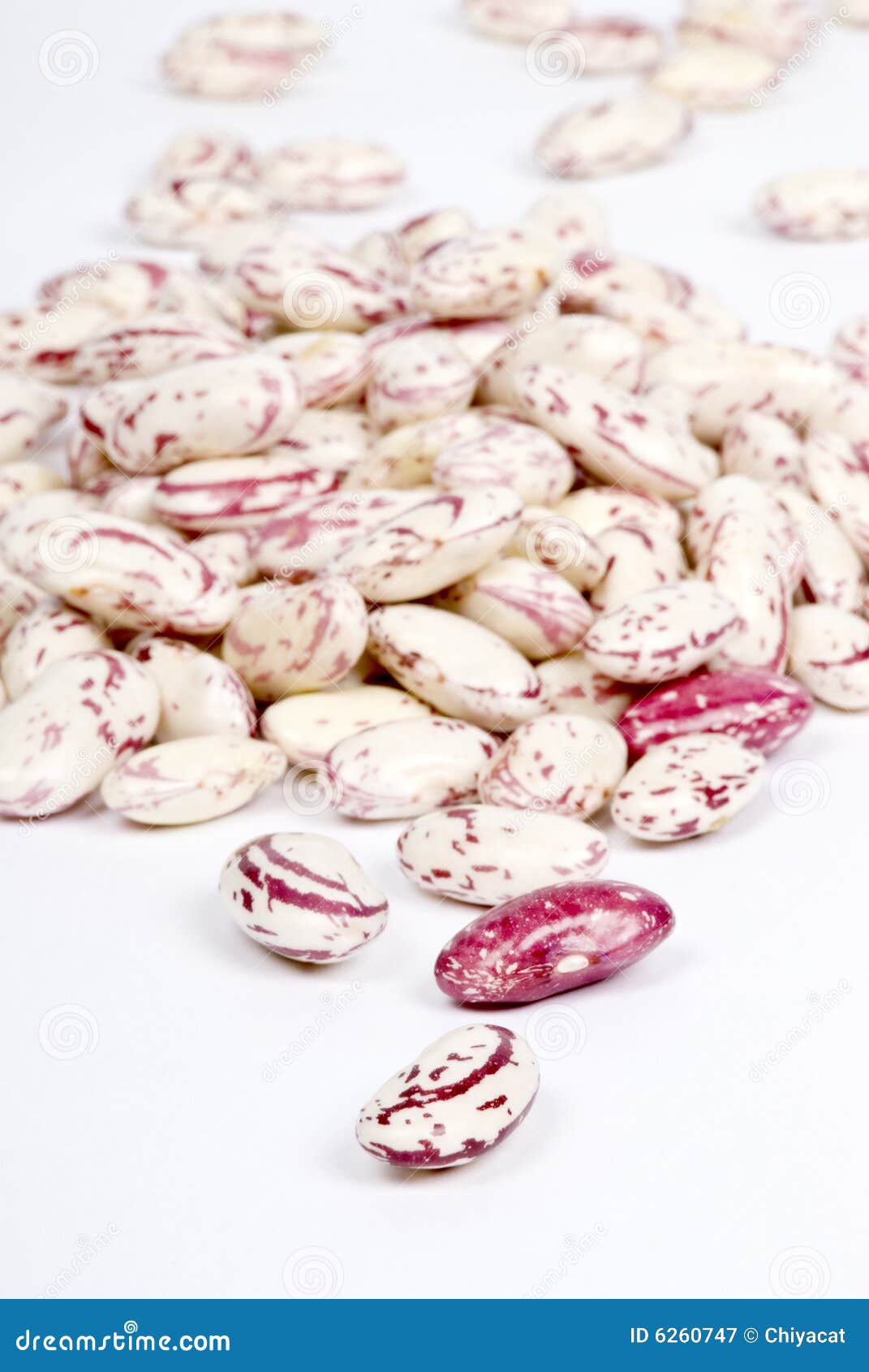 shelled romano beans