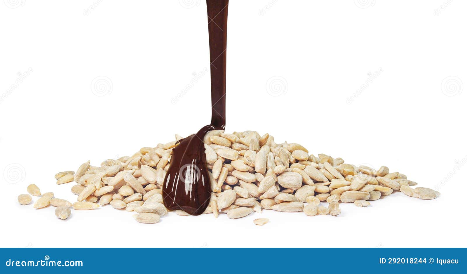 Shelled Sunflower Seeds with Chocolate Stock Photo Image of isolated