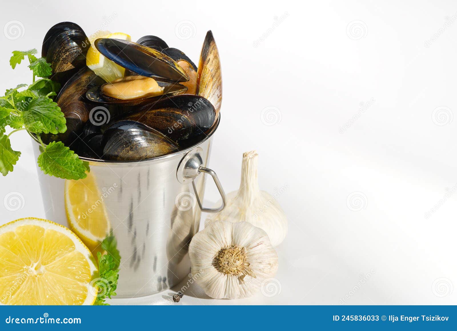 Shellfish Dish. Seafood Dishes. Mussels in Sauce. Stock Image Image