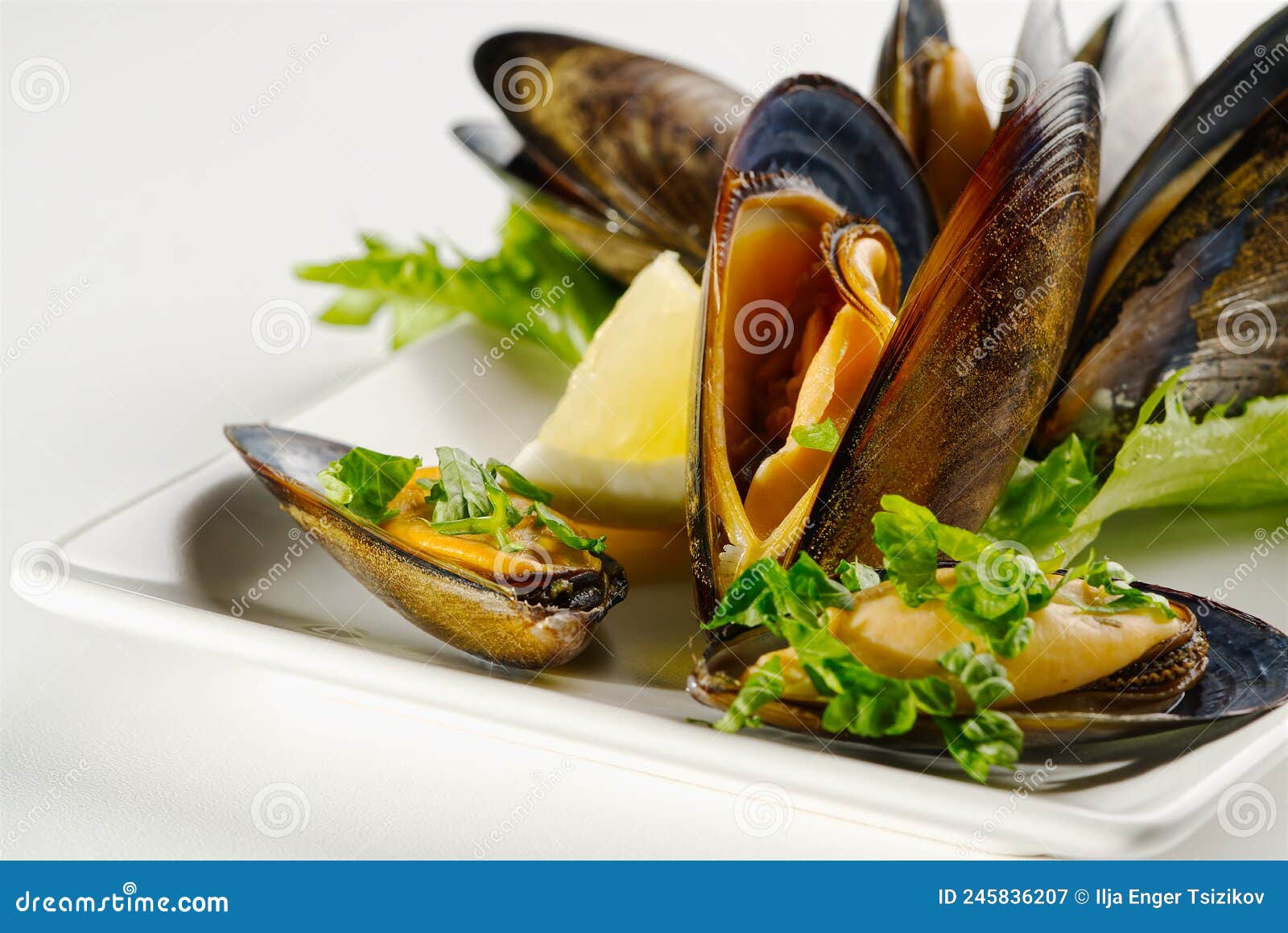 Shellfish Dish. Seafood Dishes. Mussels in Sauce. Stock Image Image
