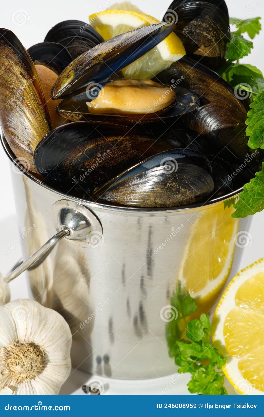 Shellfish Dish. Seafood Dishes. Mussels in Sauce. Stock Image Image