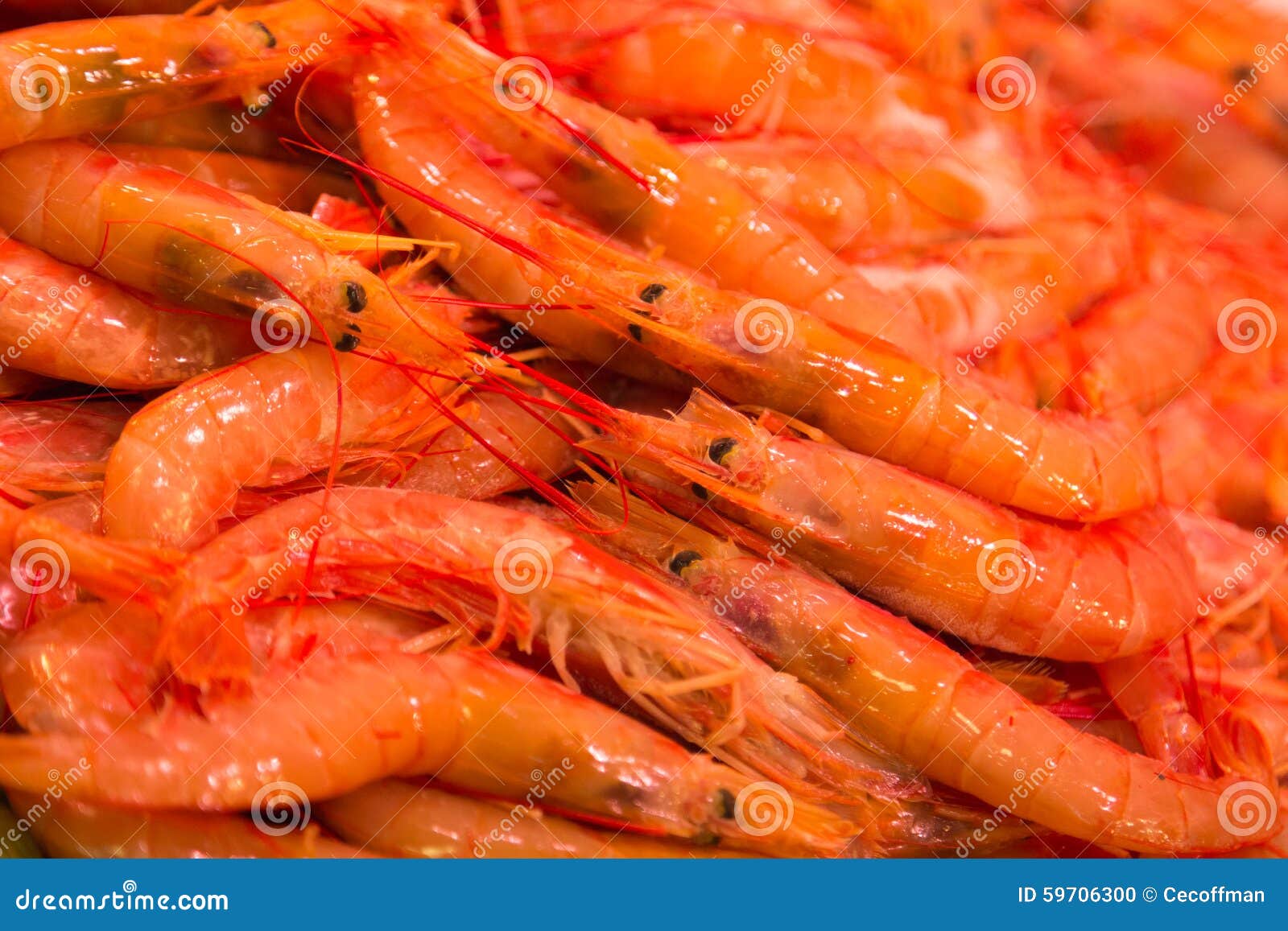 Shellfish stock photo. Image of travel, food, european 59706300