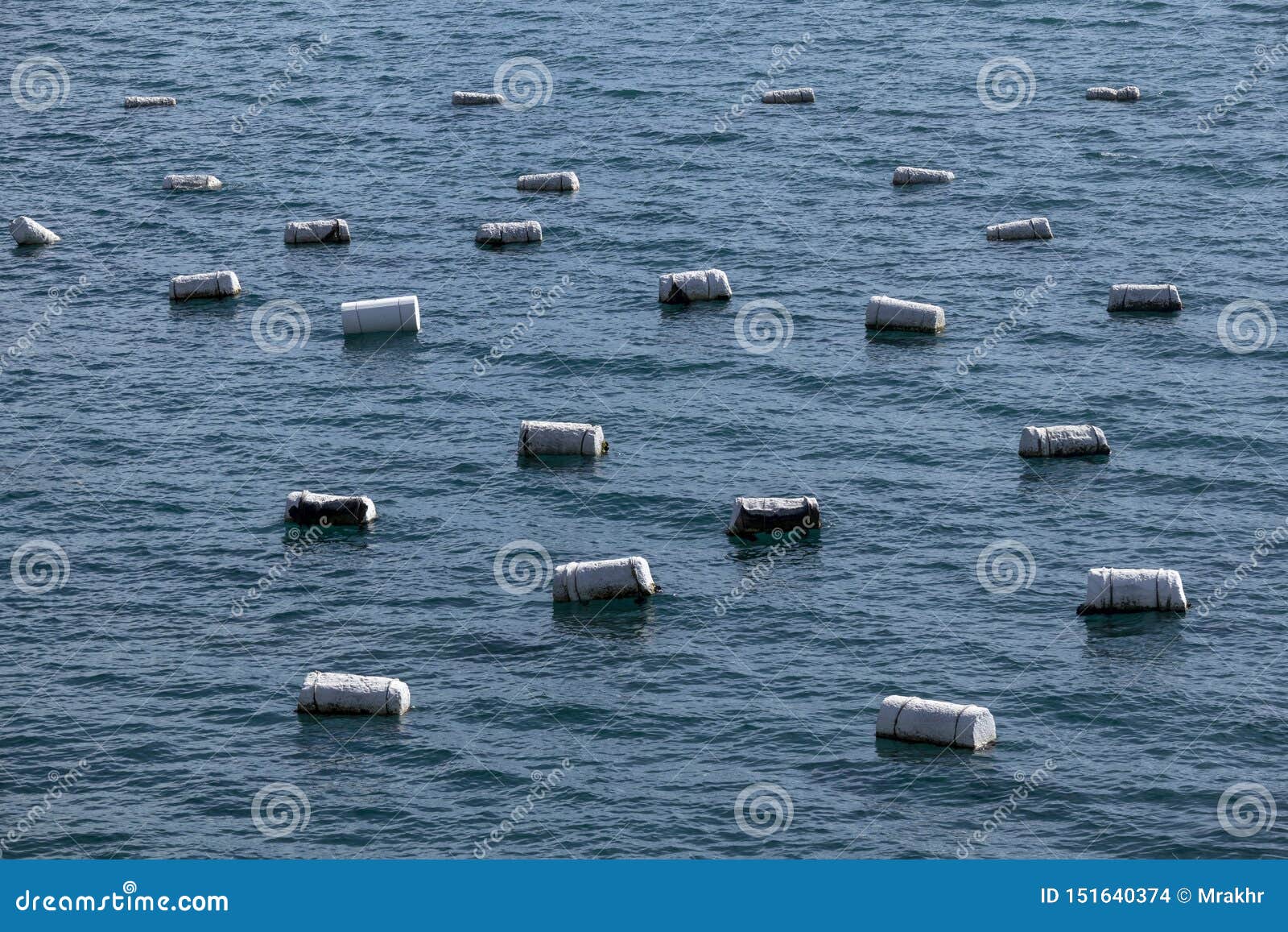 shellfish farming on blue background