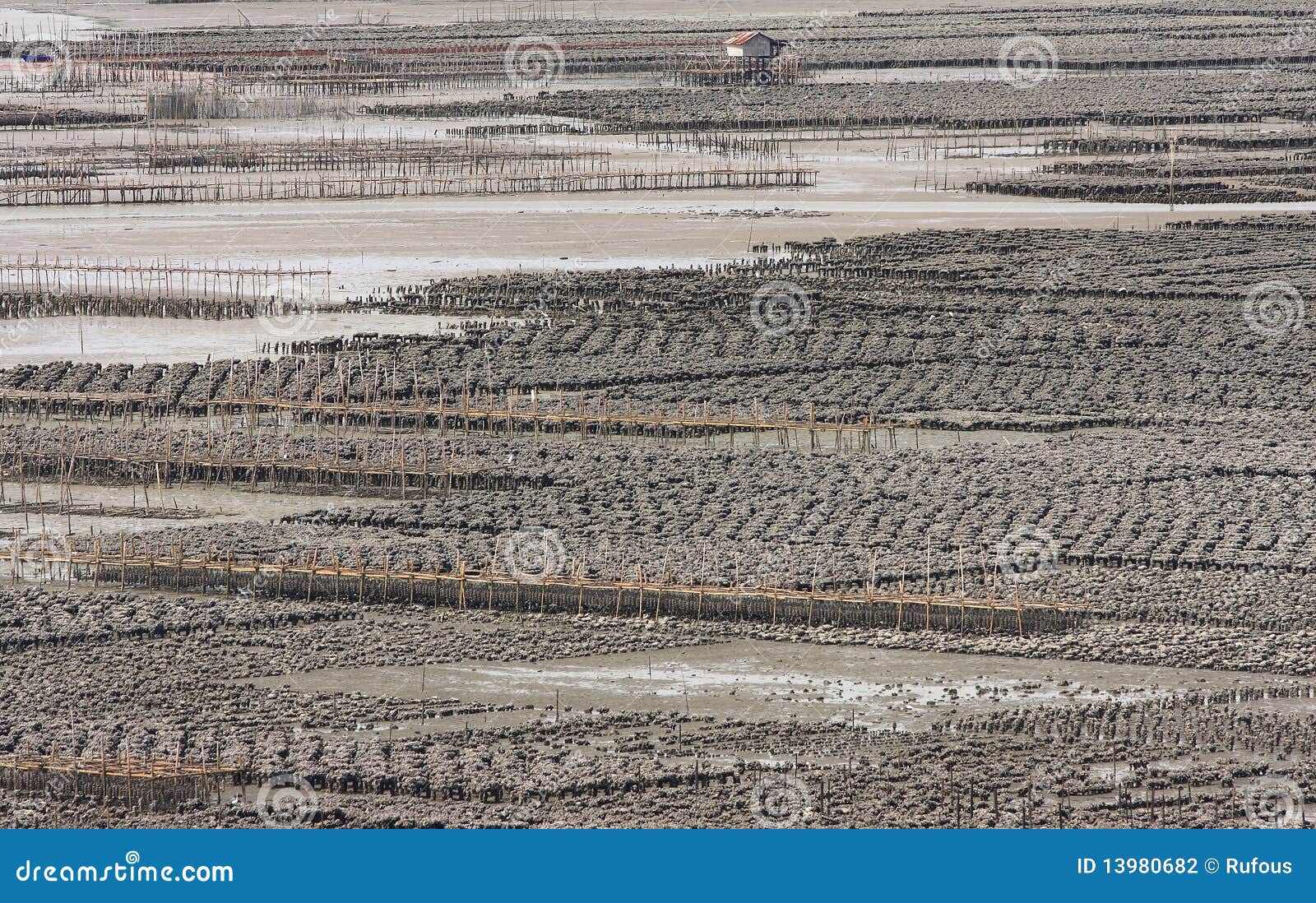Shellfish and fish farms stock photo. Image of crop, farm 13980682
