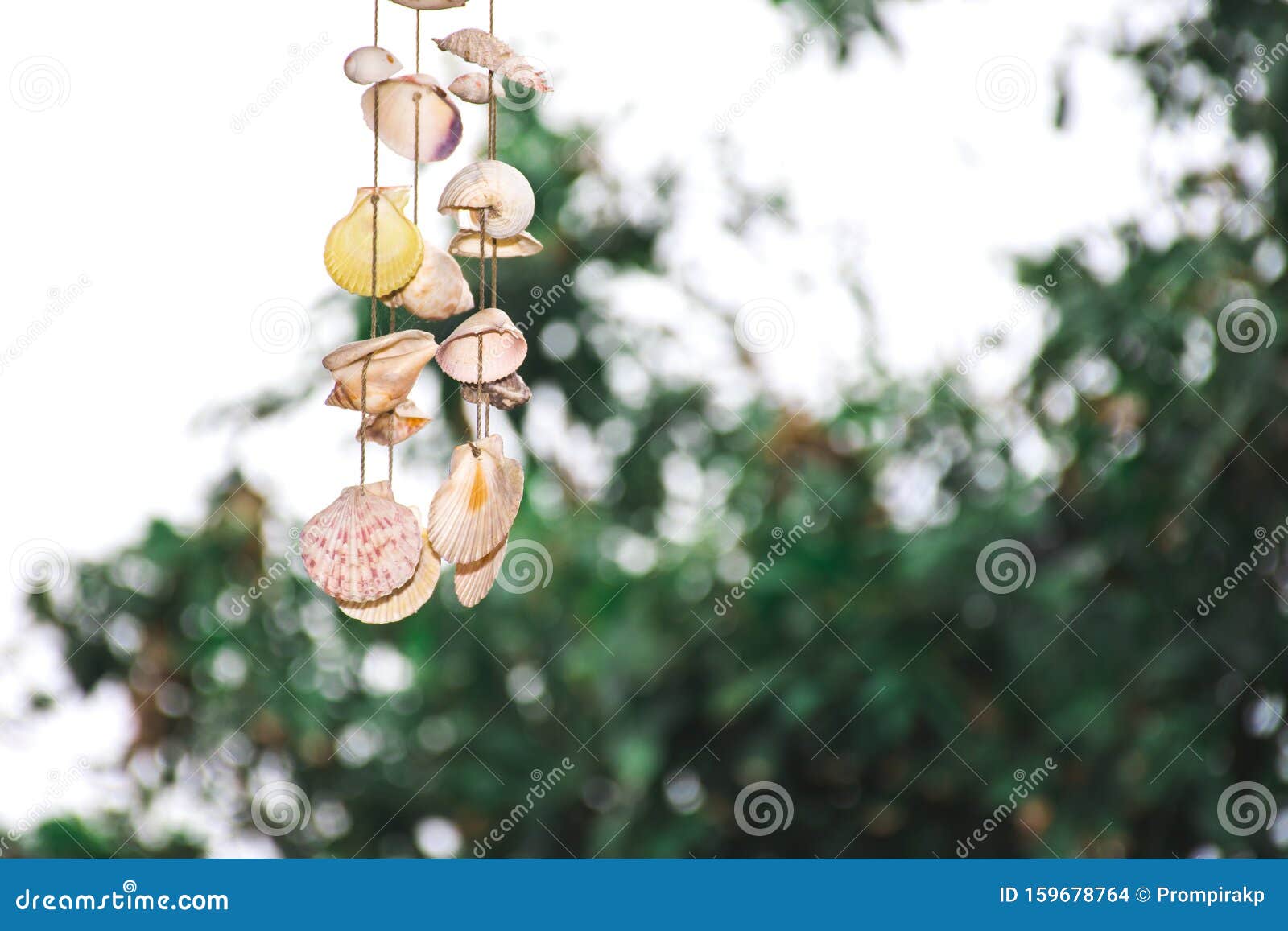 shellfish mobile hanging aganist blurred nature background