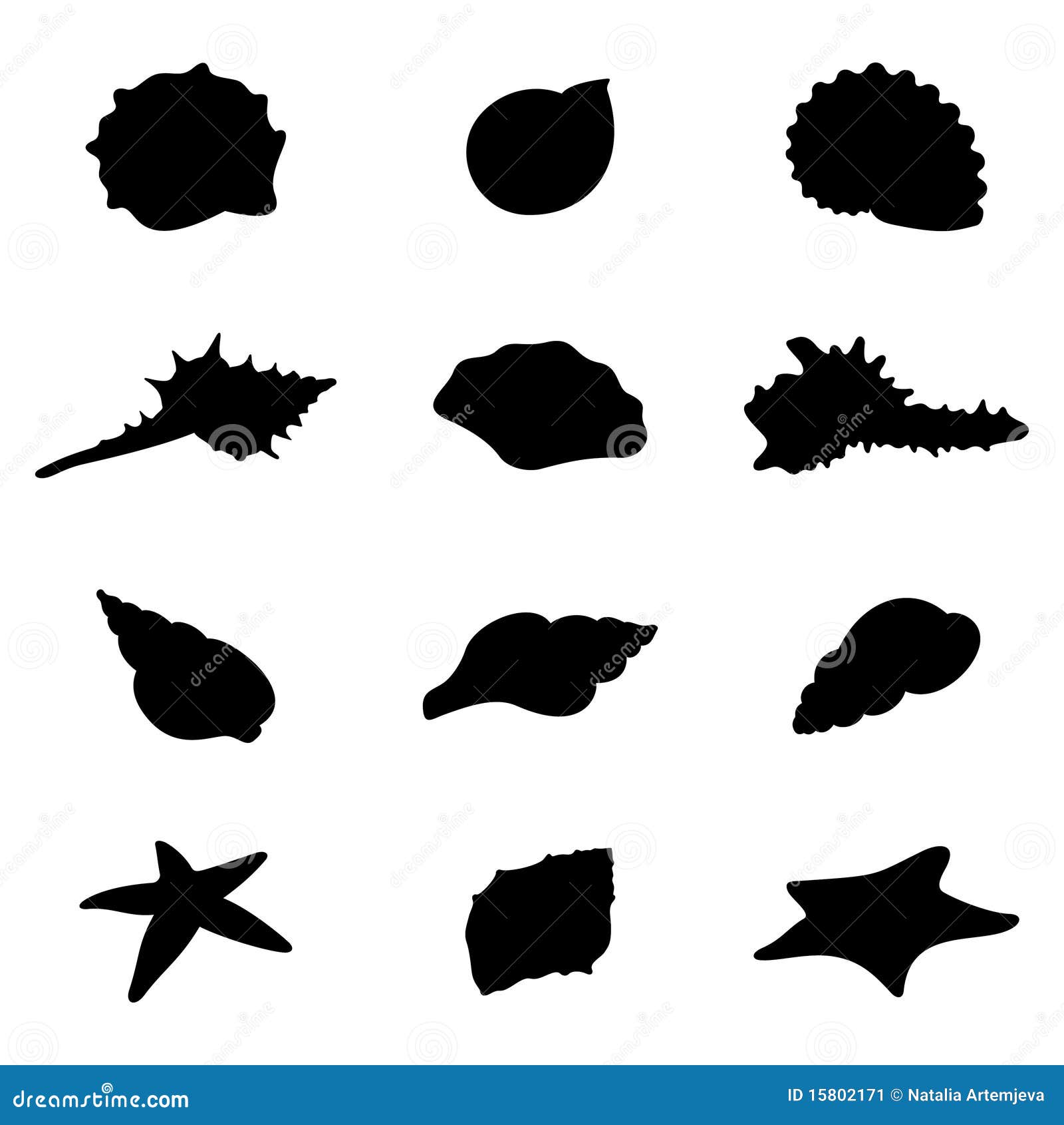 shells and starfishes silhouettes