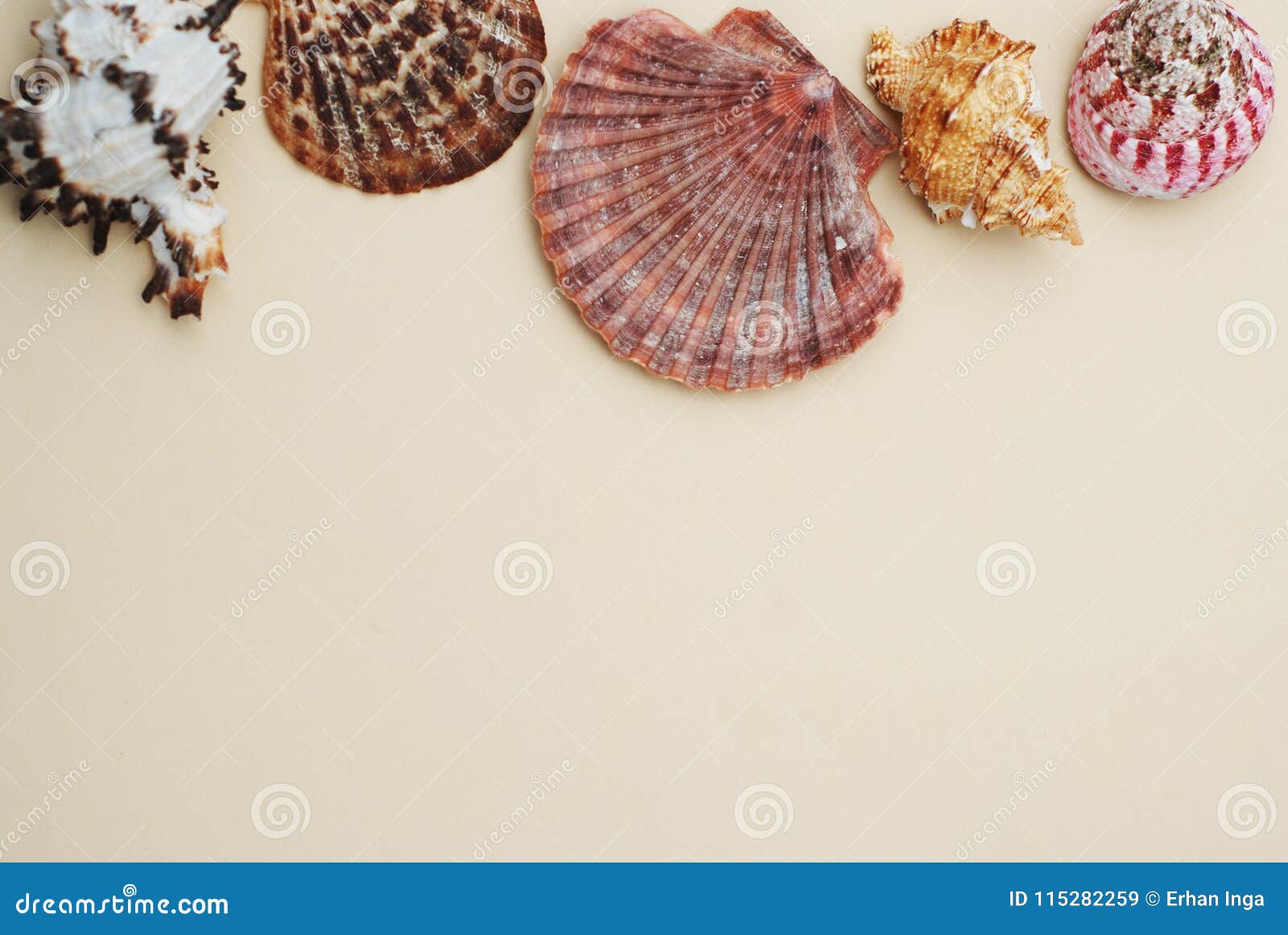 shells and stones over ivory background with copy space for text. top view. vacation summer holliday.