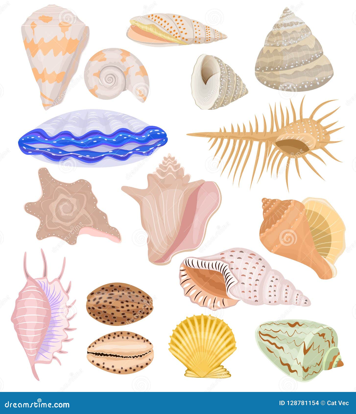 Illustration Seashells