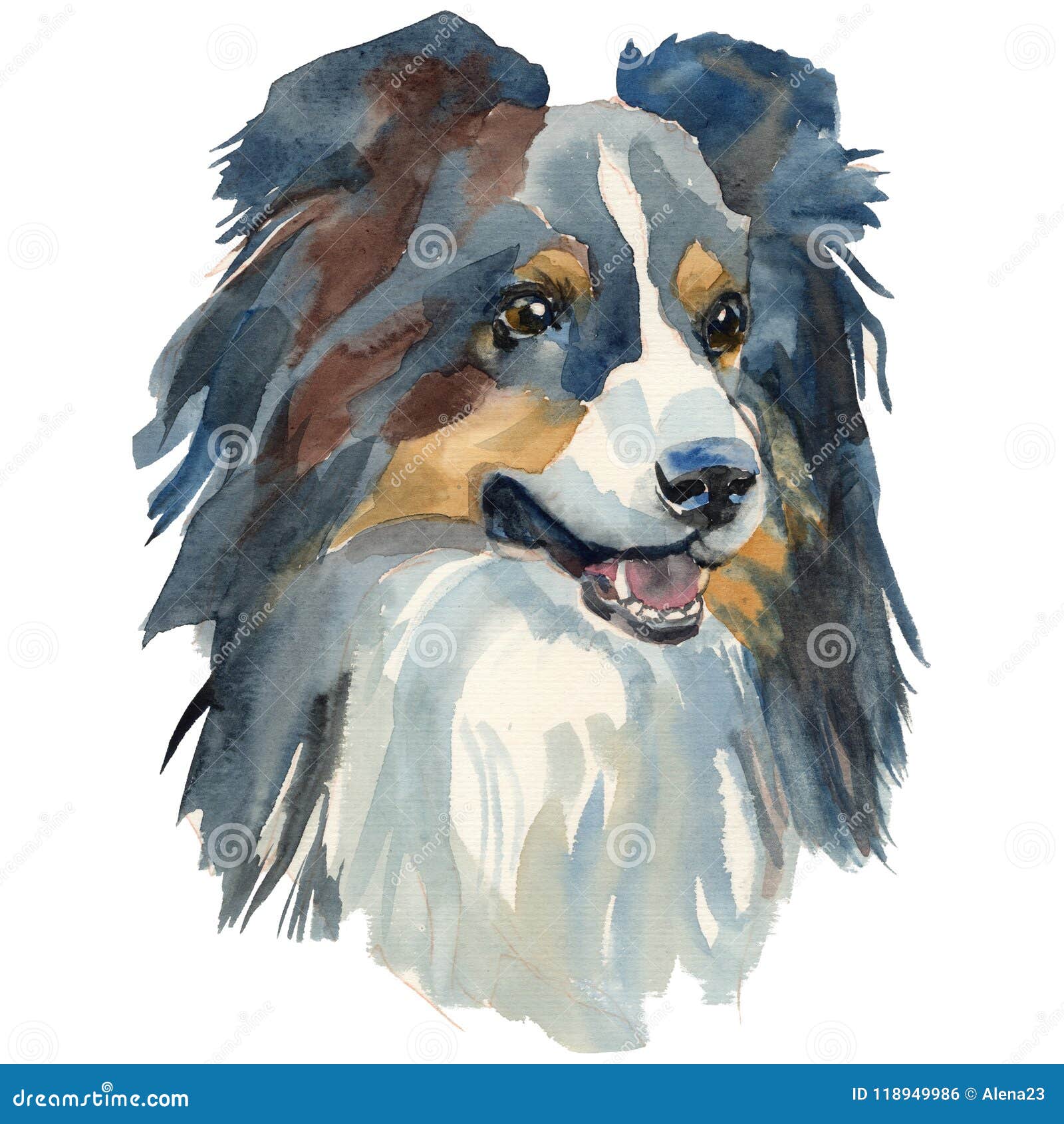 sheltie artwork