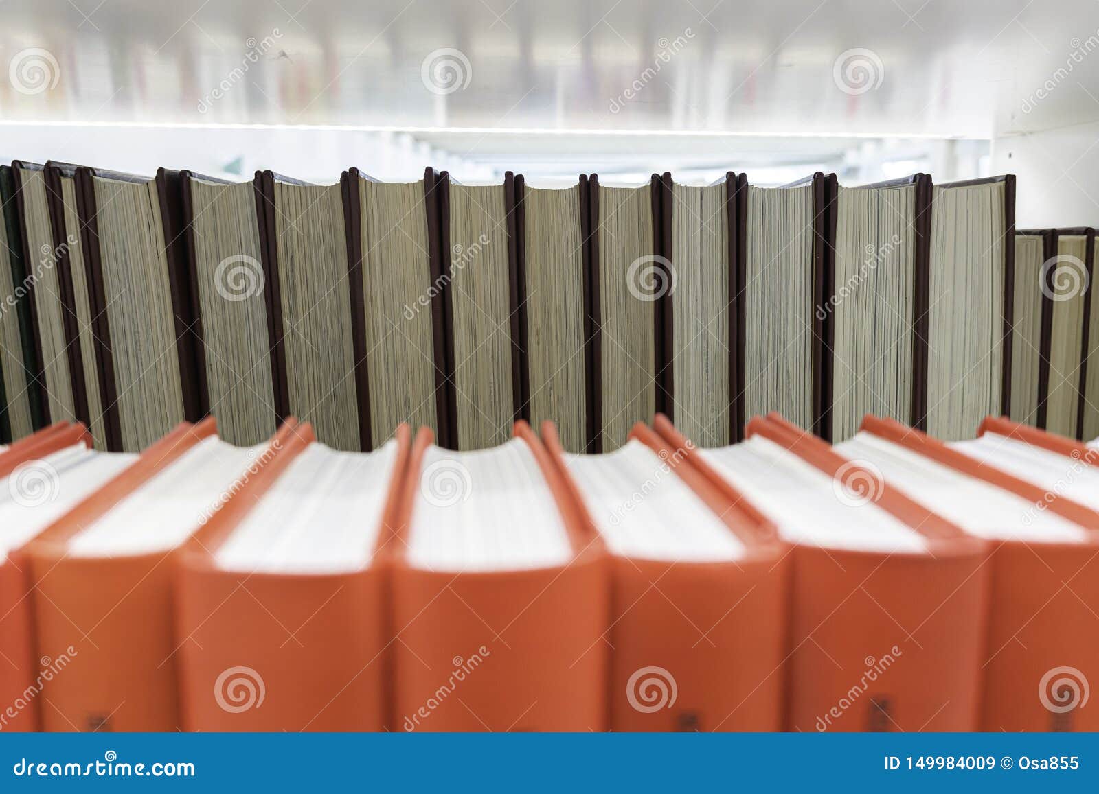 Shelve of Books in a Public Library Stock Image Image of literacy