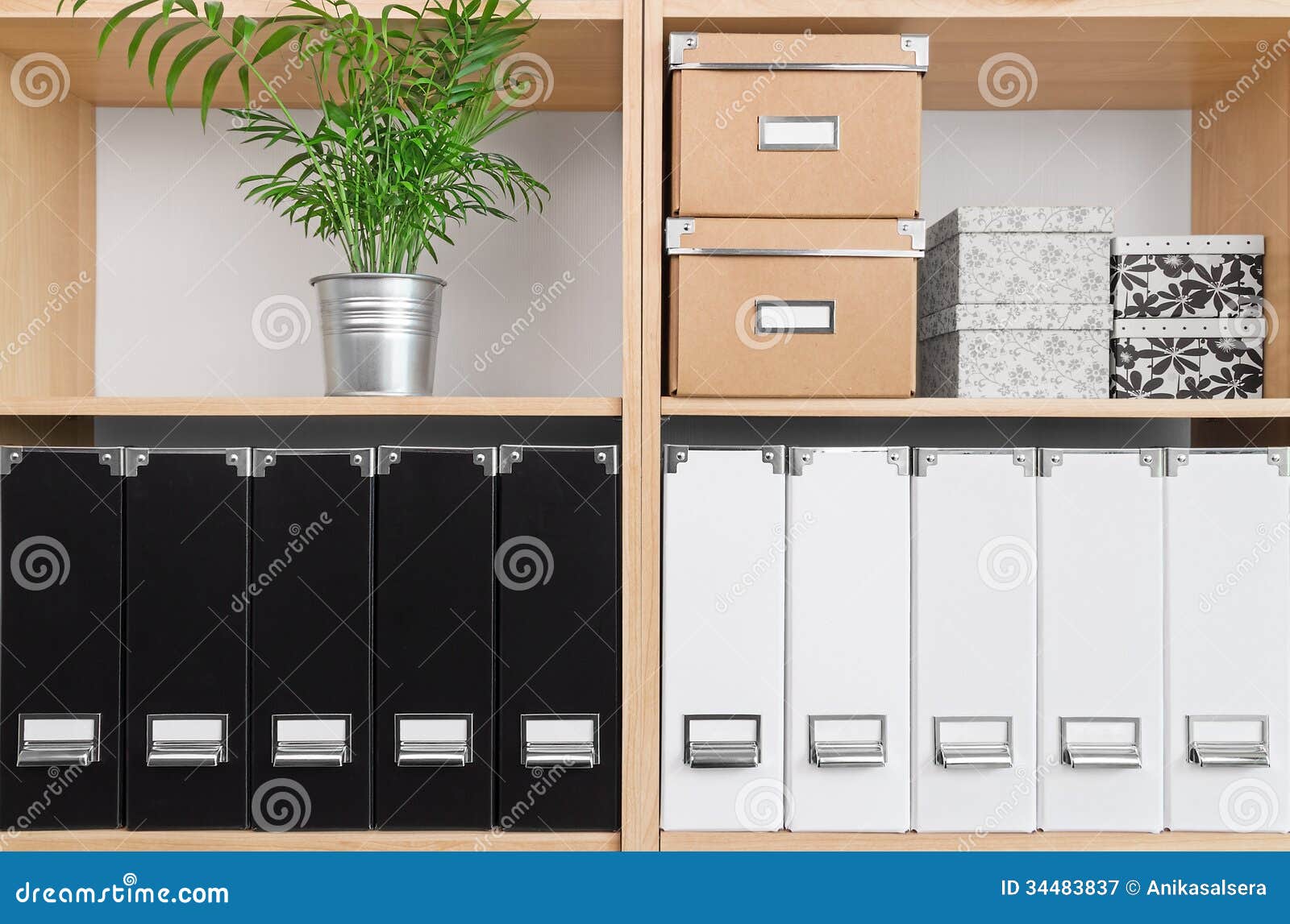 shelves with boxes, folders and green plant