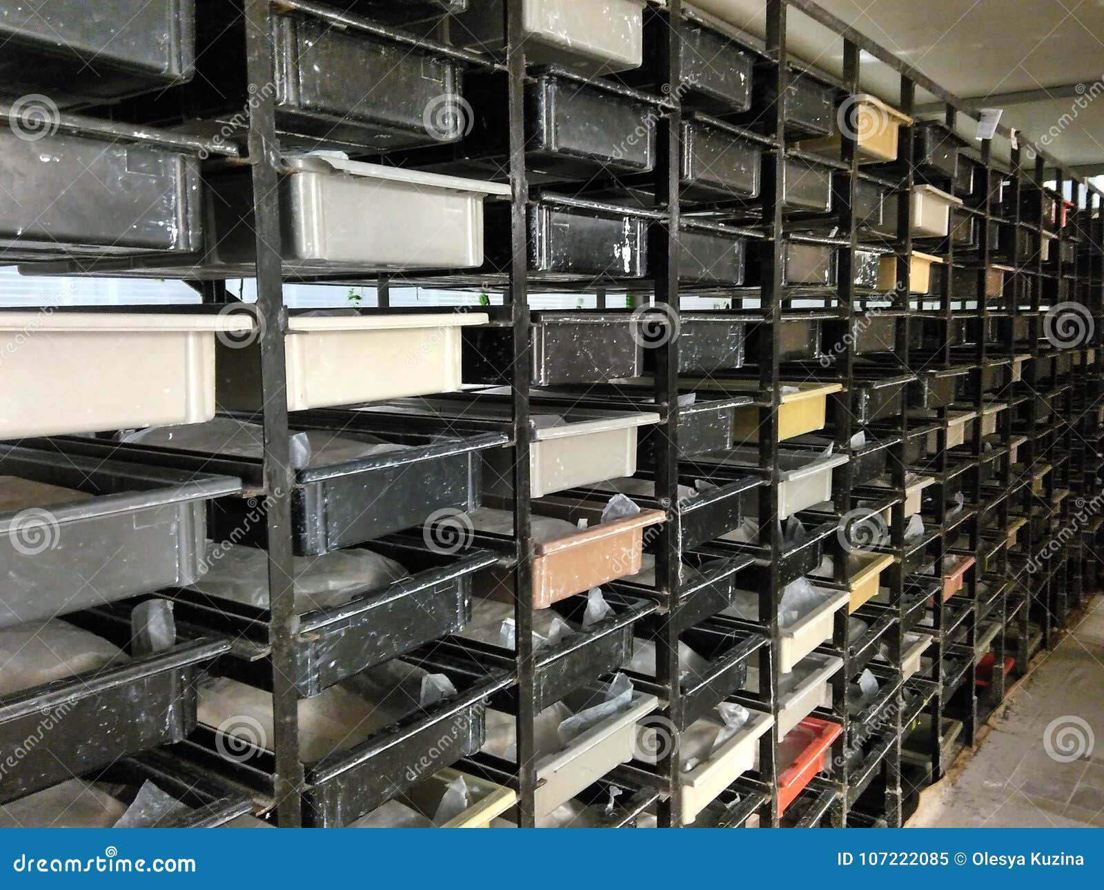 Shelving with Storage Boxes Stock Image Image of perspective, boxes 107222085