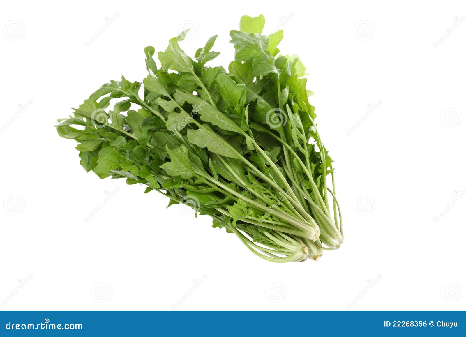 Shepherd s purse stock photo. Image of medicinal, background 22268356