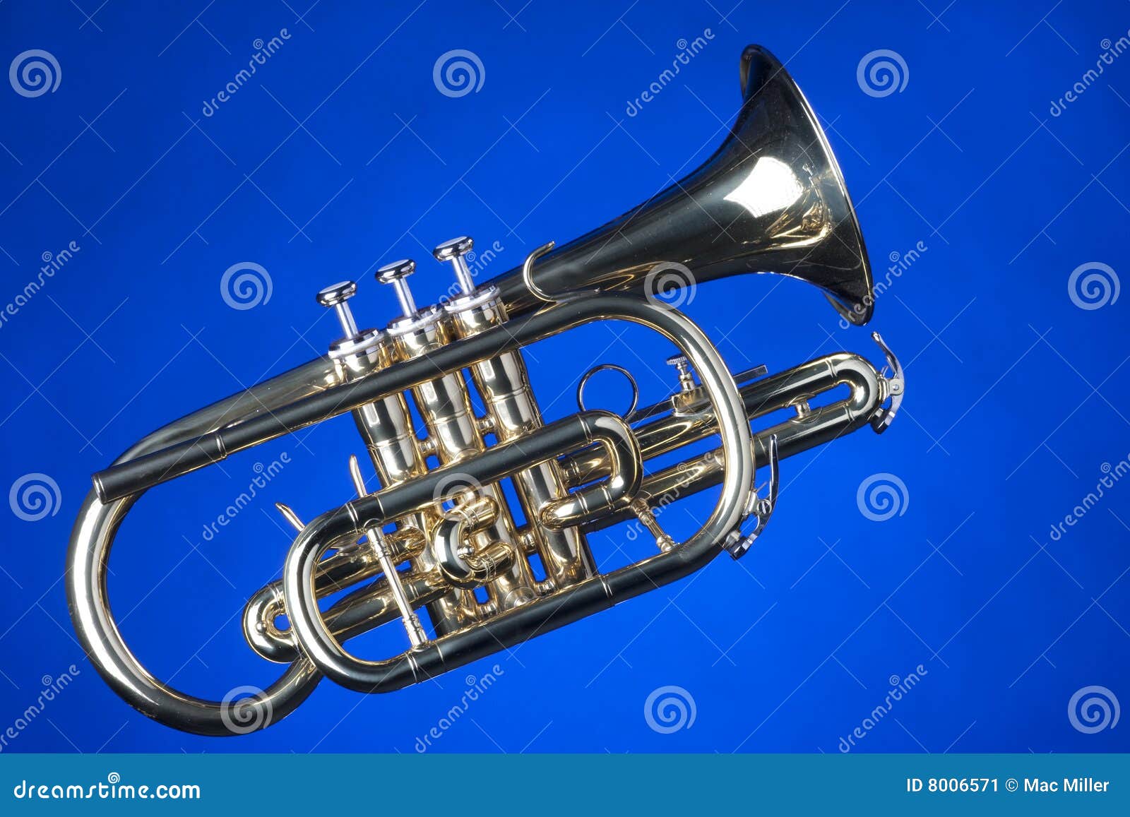 Sheppardsâ€™s Crook on Blue Stock Image Image of
