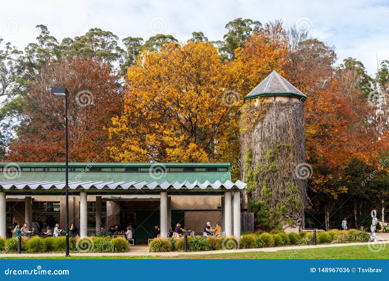 piggery cafe in dandenong ranges.