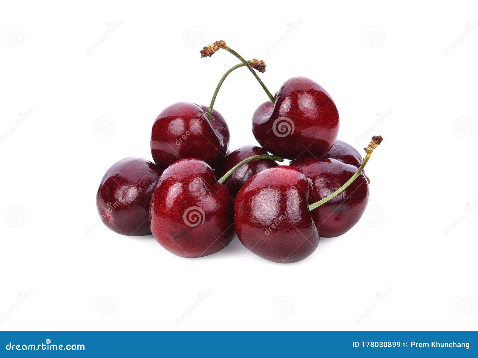 Sherry Berry Fruit Isolated on White Background Stock Image Image of