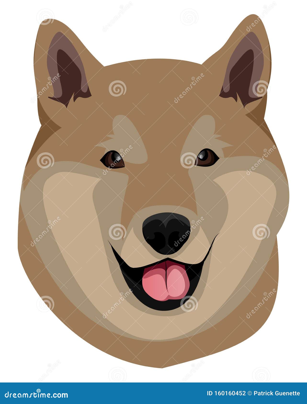 Shiba illustration vector stock vector. Illustration of design - 160160452