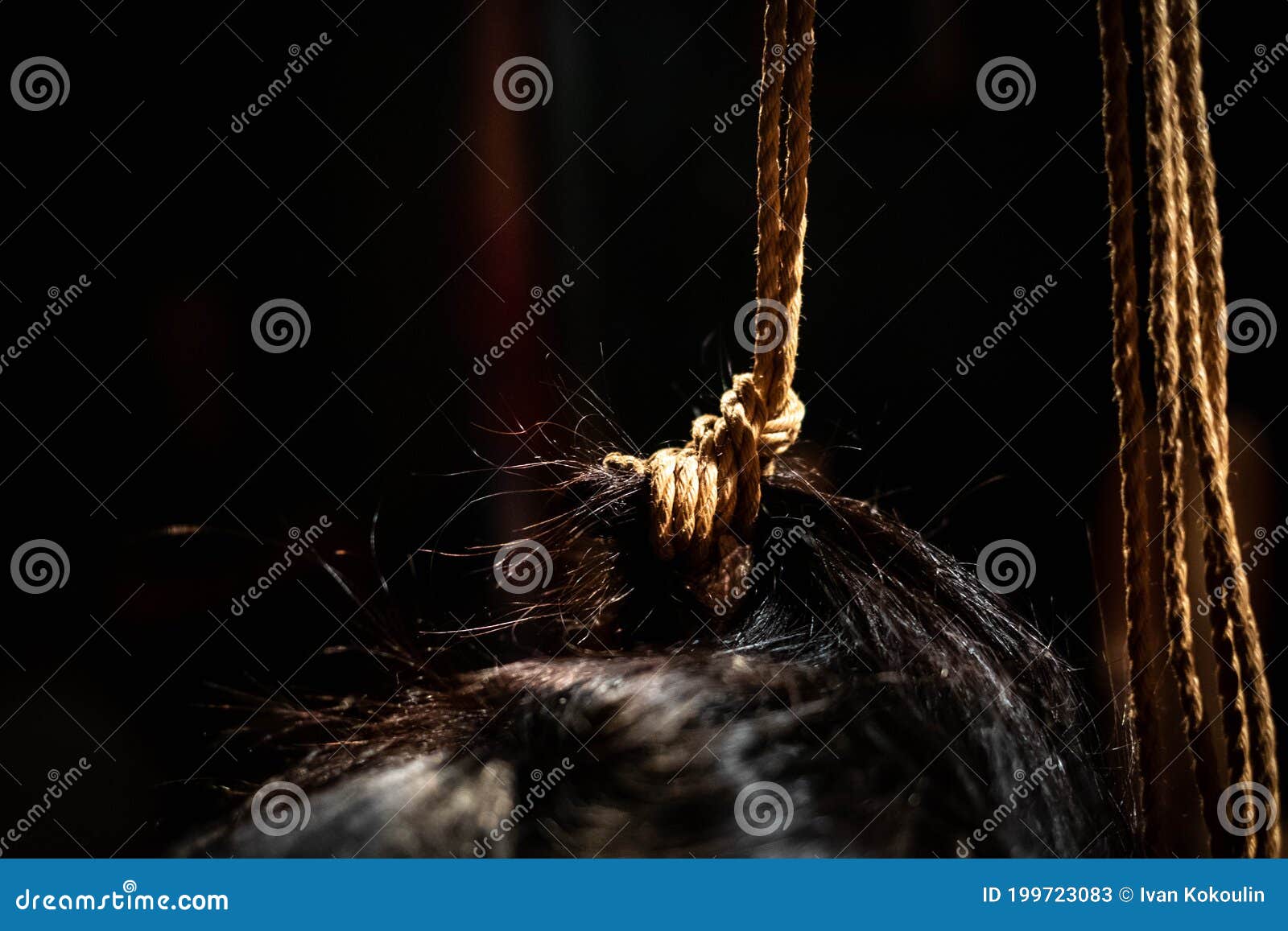 Shibari Ropes Tight on Model Hair Close Up Stock Image - Image of