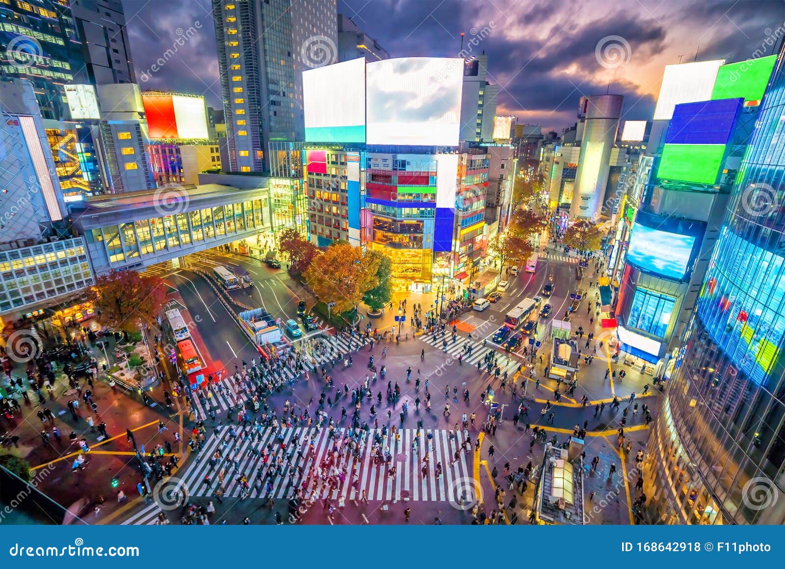 Shibuya Crossing From Top View At Twilight In Tokyo Stock Photo Image Of Pedestrian Downtown