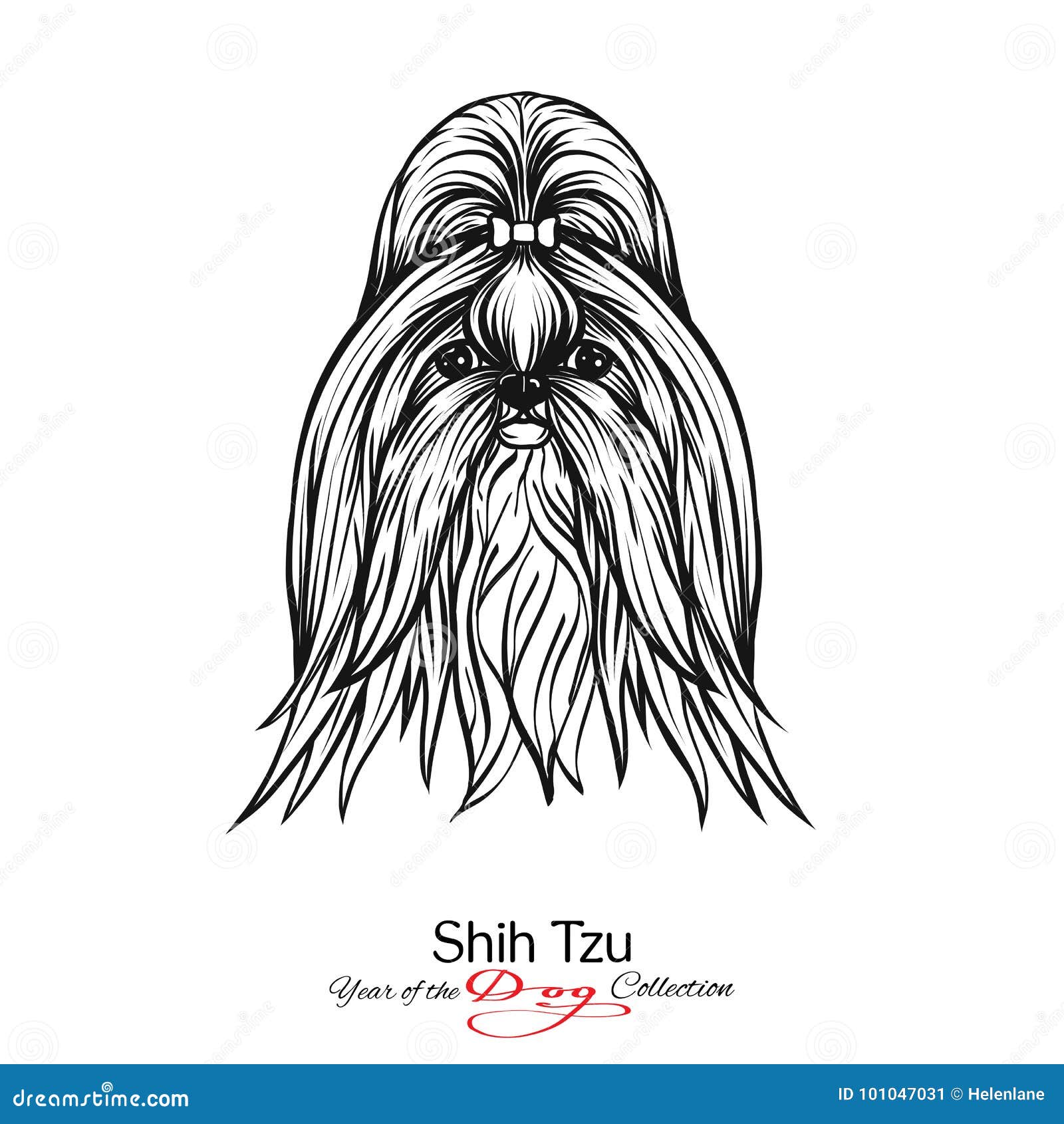 Shih Tzu. Black And White Graphic Drawing Of A Dog. Stock