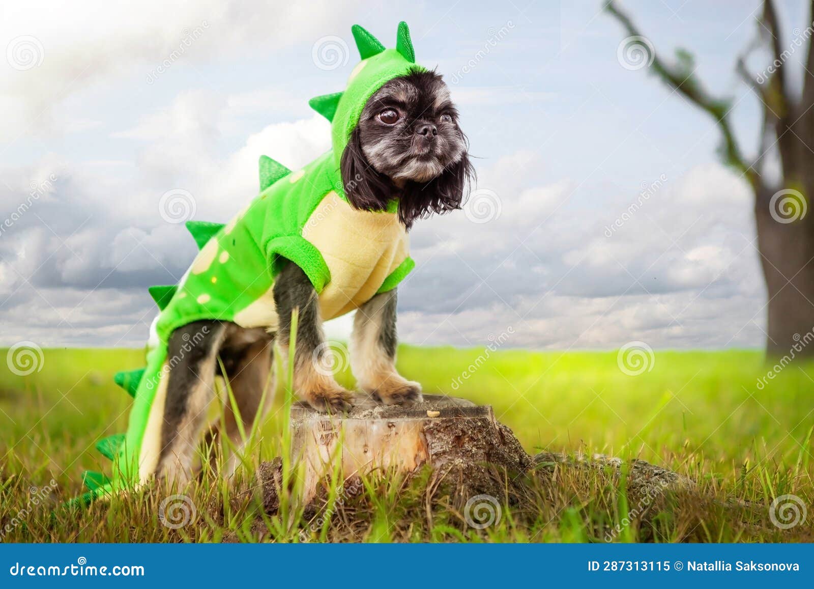 Halloween Drinking Games  Pugs and Dinosaurs – Pugs and Dinosaurs