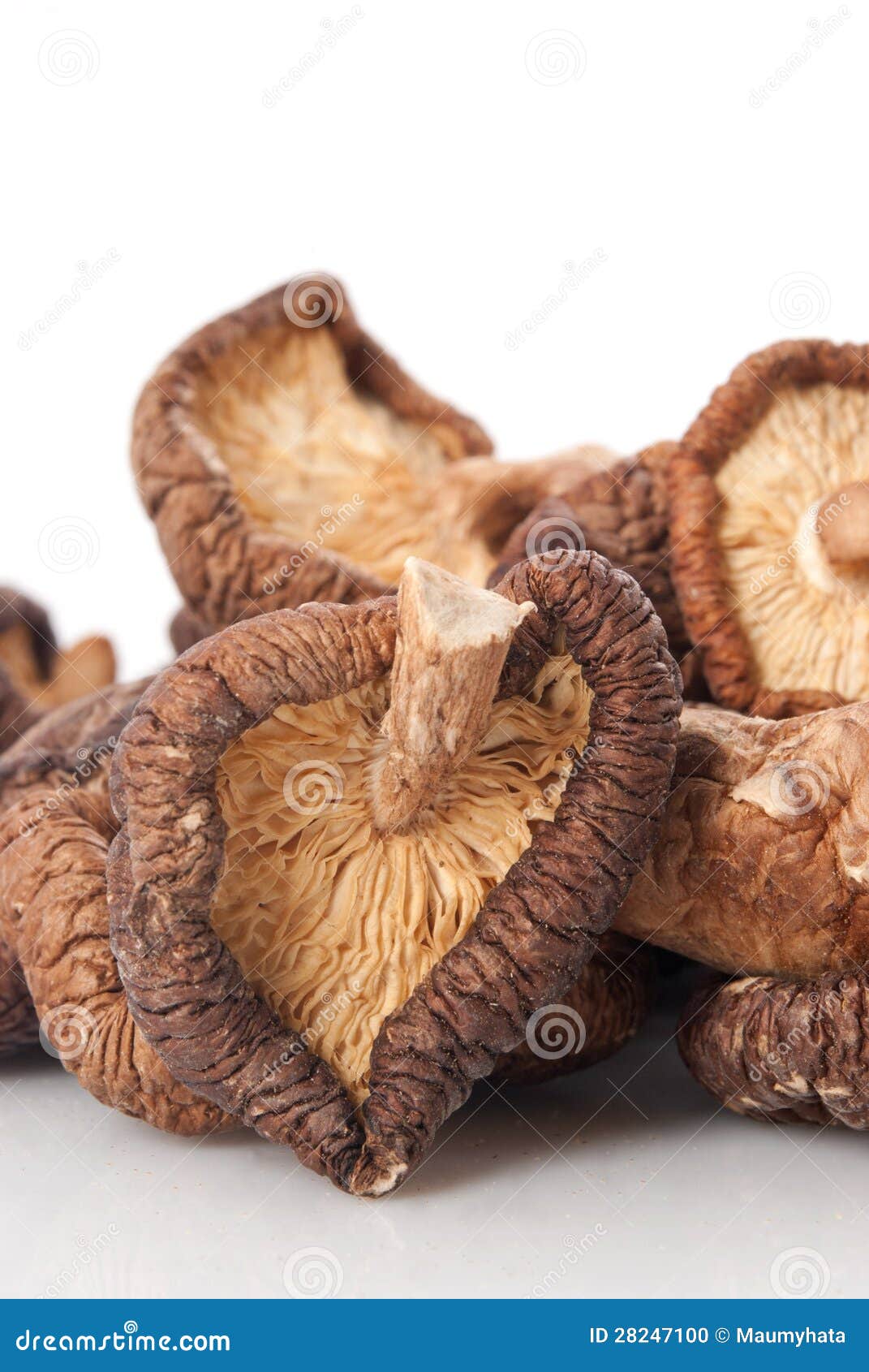 Shiitake stock photo. Image of delicacy, korean, life 28247100