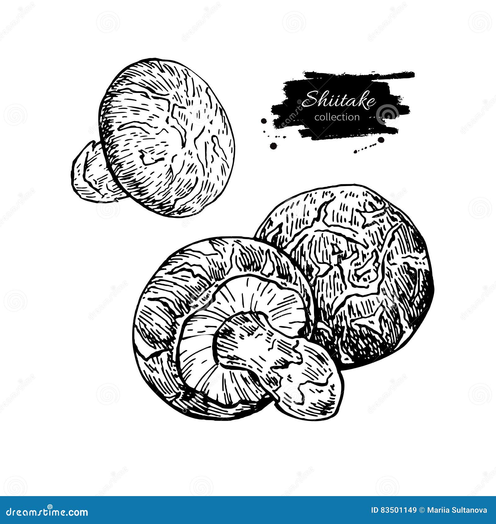 Shiitake Mushroom Hand Drawn Vector Illustration Set. Sketch Foo Stock