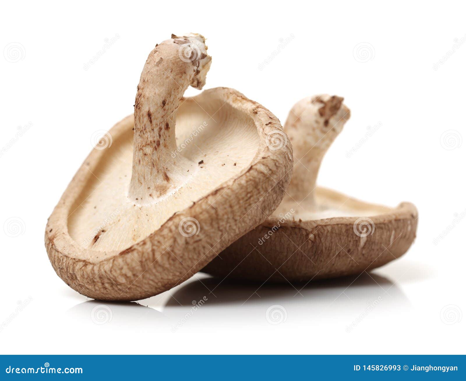 Shiitake mushroom stock image. Image of gills, herbs 145826993