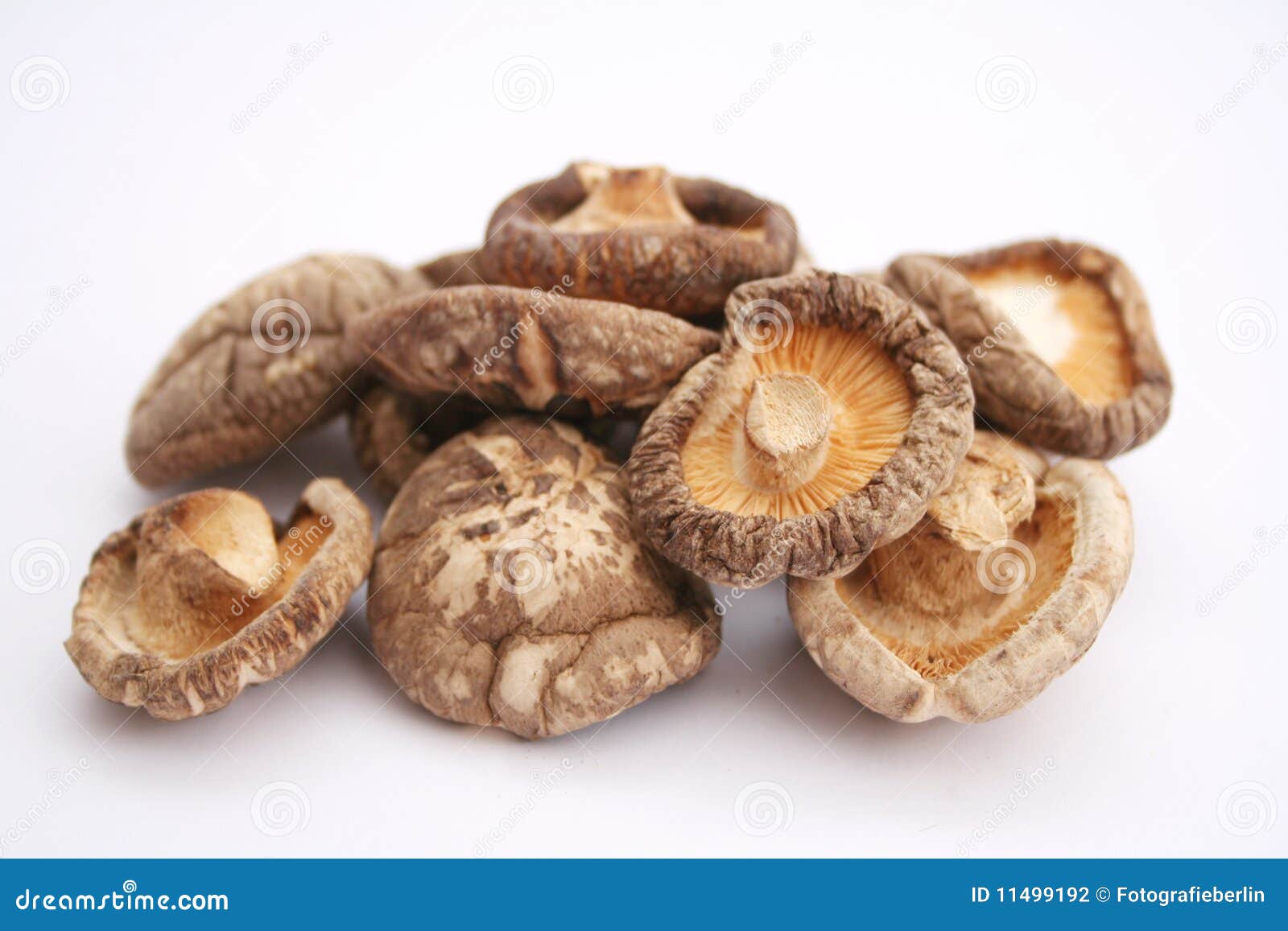 Shiitake Mushrooms Stock Photography Image 11499192