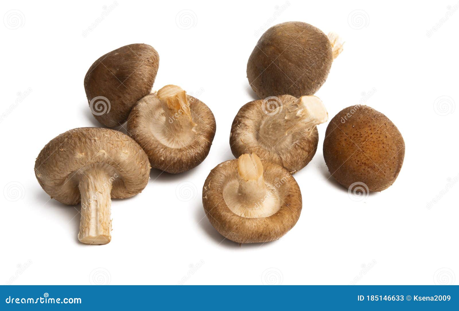 Shiitake Mushrooms Isolated Stock Image Image of ingredient, white 185146633