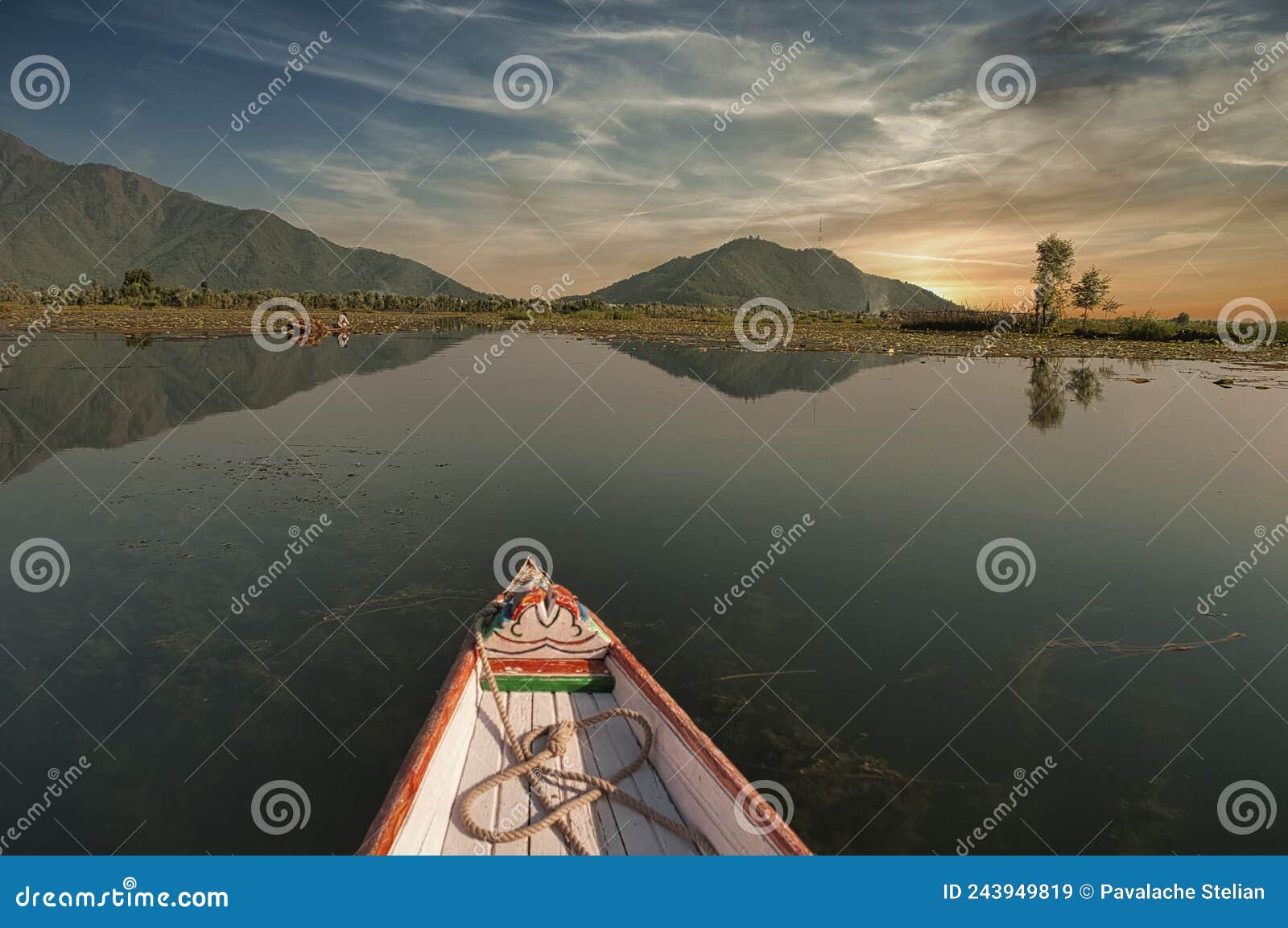 shikara boats in dal lake, srinagar, kashmir