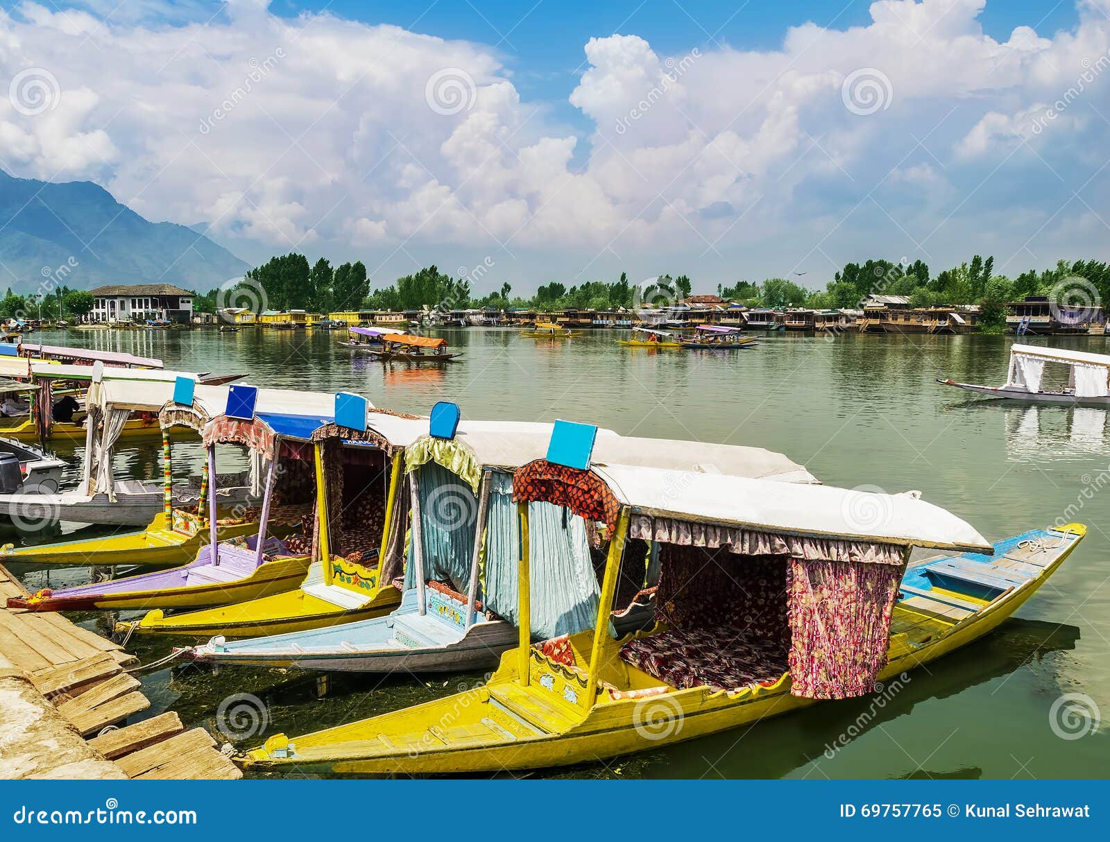 shikara boats / lifestyle in dal lake, srinagar, kashmir, india