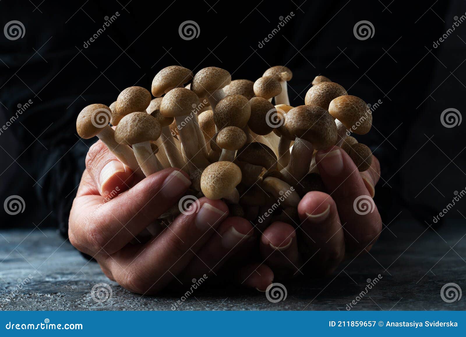 Ingrediente receita cogumelos shitake shimeji Stock Photo