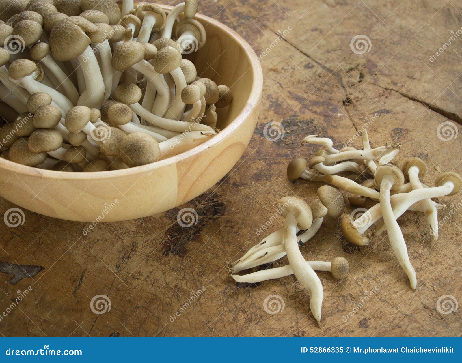 Shimeji mushroom stock image. Image of nutrition, edible 52866335