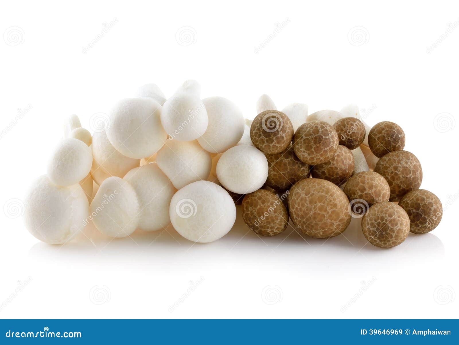 Shimeji Mushrooms Both Brown and White Varieties Stock Image Image of