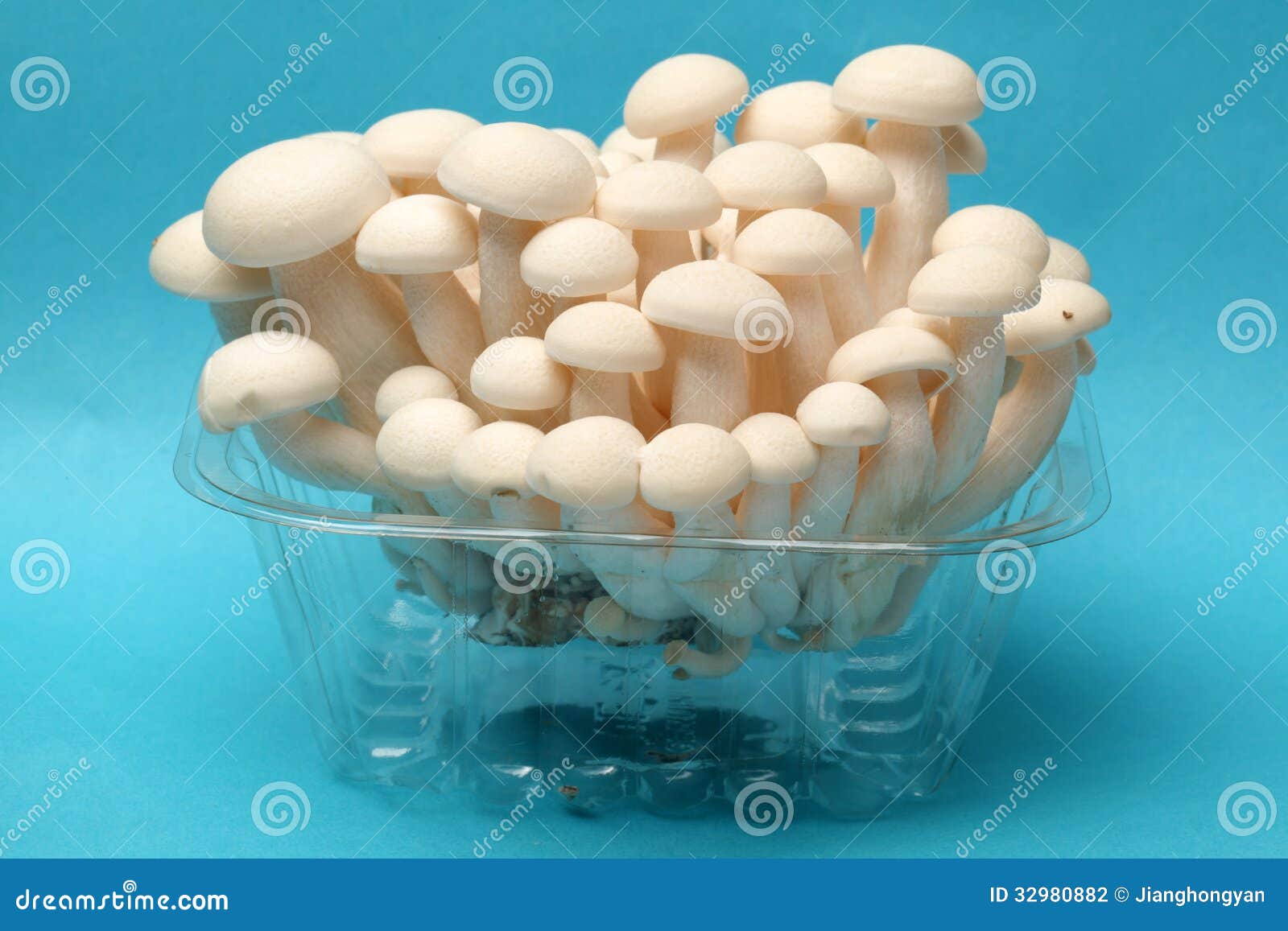 Shimeji mushrooms stock photo. Image of health, color 32980882
