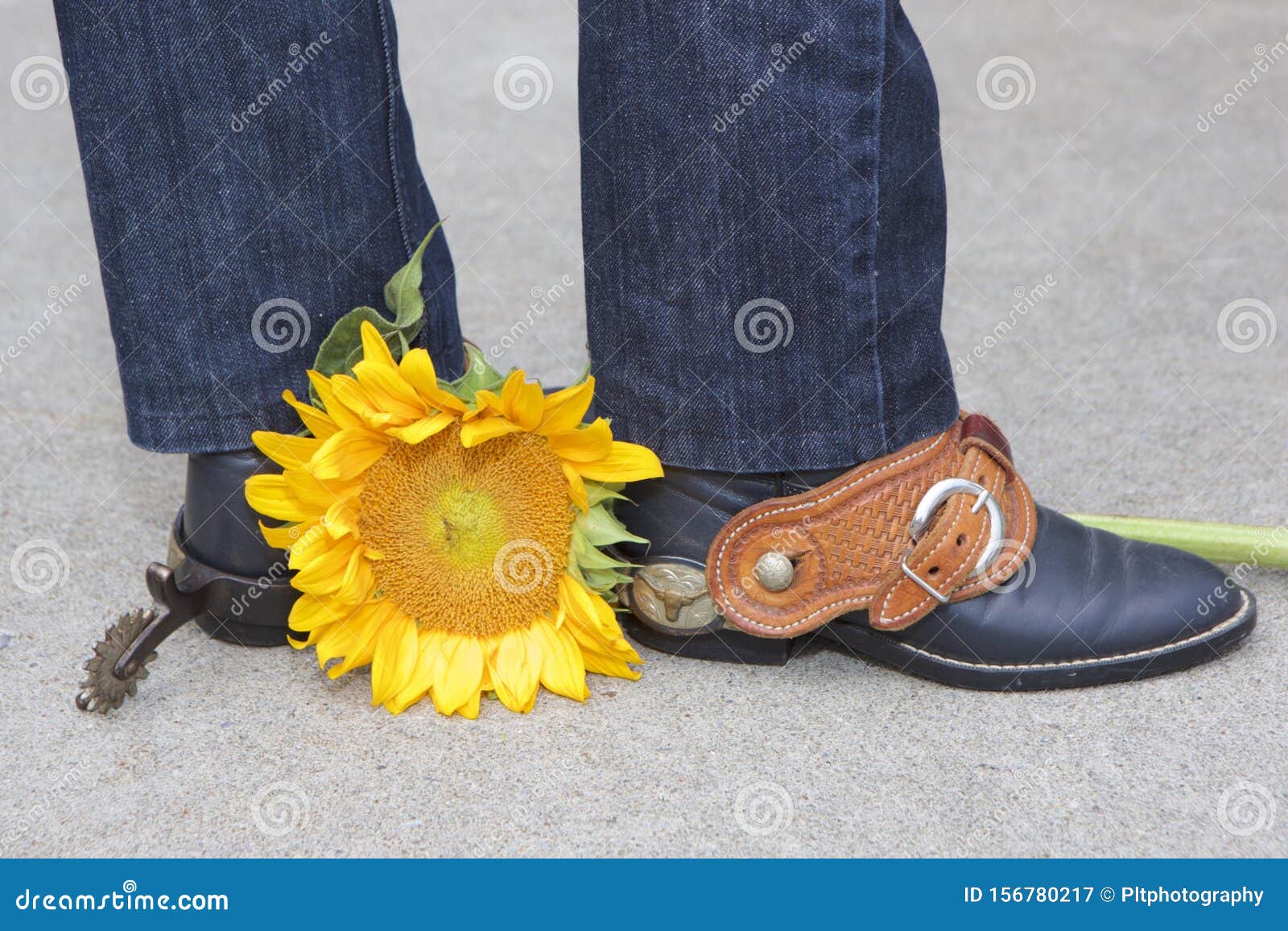 boots, spurs and sunflower