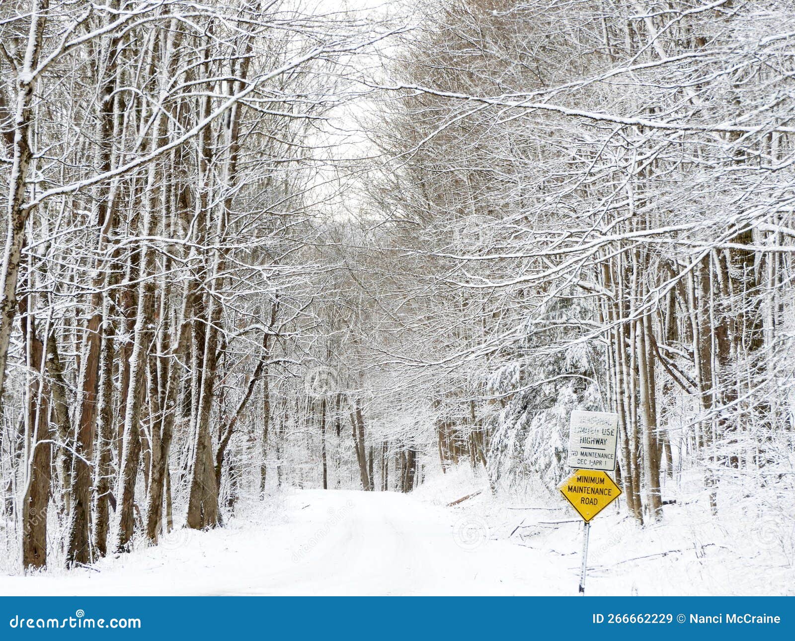 Shindagin Hollow State Forest Seasonal Access Trail Road Entry in