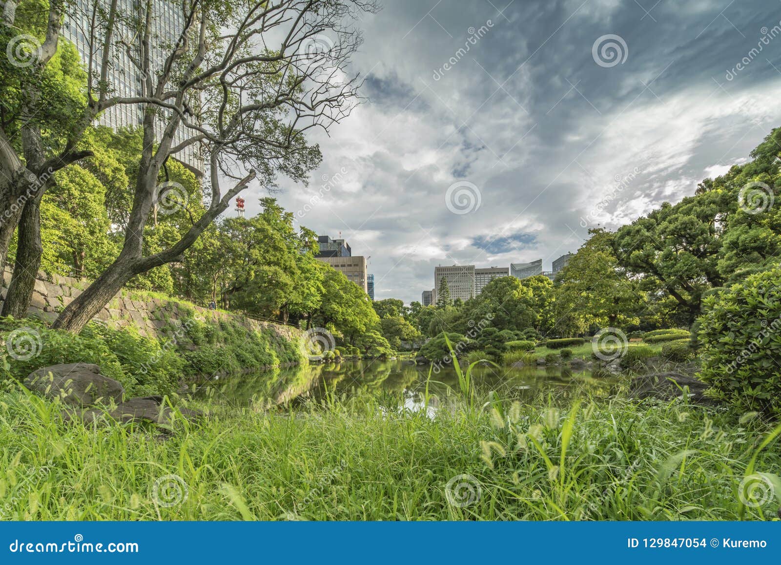 shinji pond in the public garden of hibiya park bordering the so