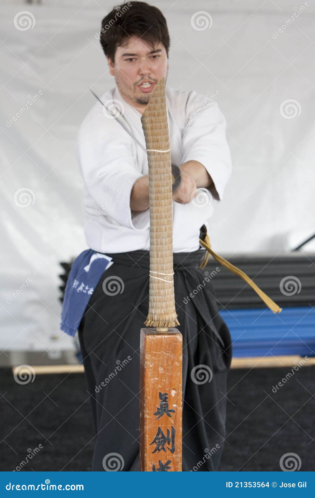 Shinkendo editorial stock image. Image of slice, blossom 21353564