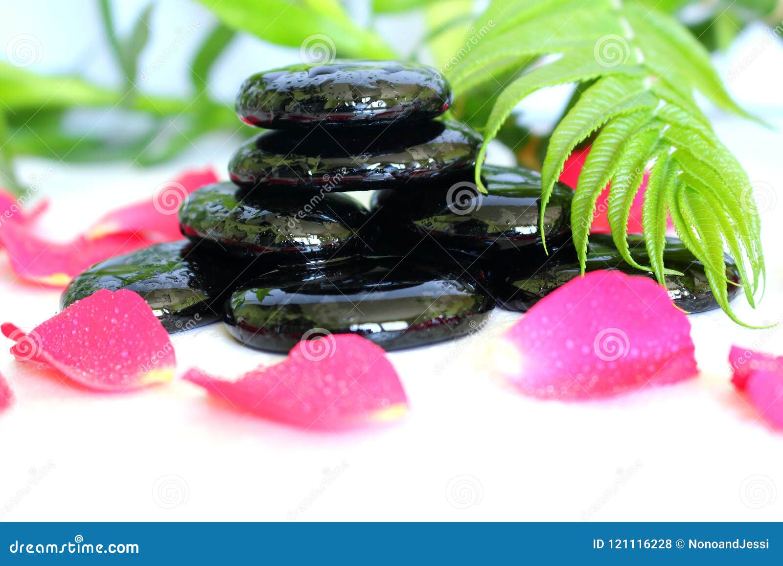 5 Attitude Zen Photos Free Royalty Free Stock Photos From Dreamstime 5 Attitude Zen Photos Free Royalty Free Stock Photos From Dreamstime