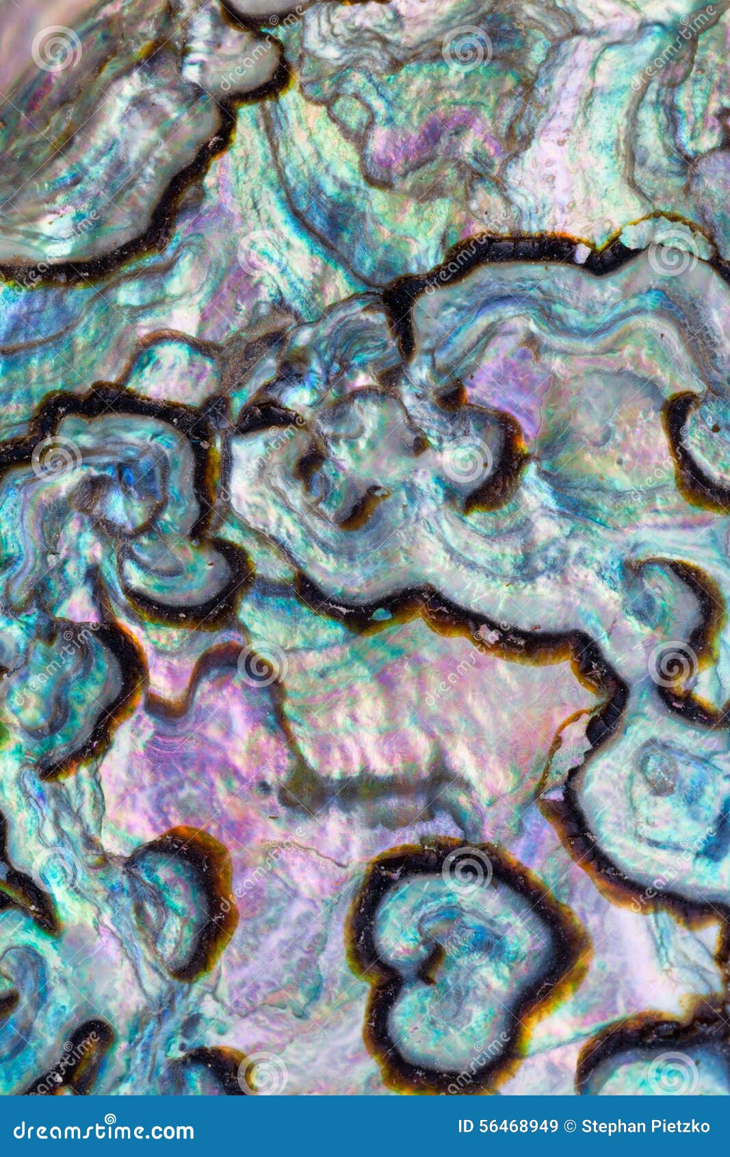 shiny nacre of paua or abalone shell background