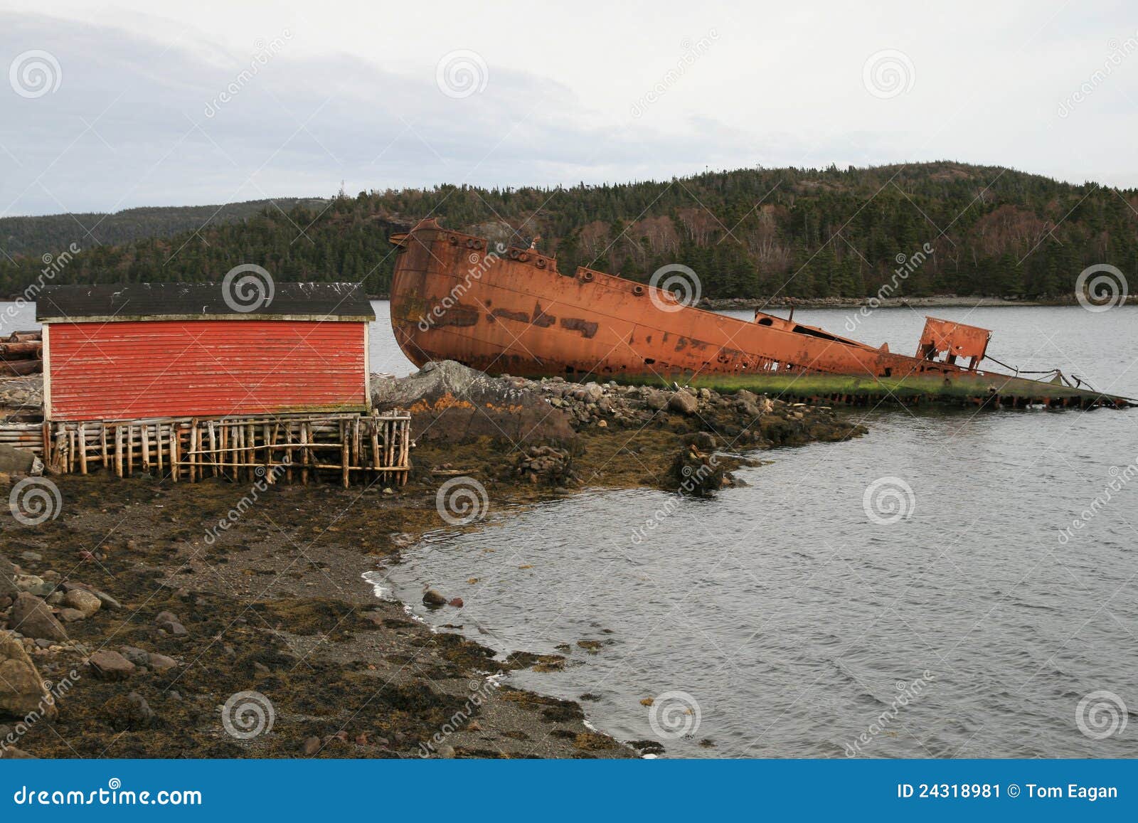Shipwreck stock image. Image of ocean, canada, newfoundland 24318981